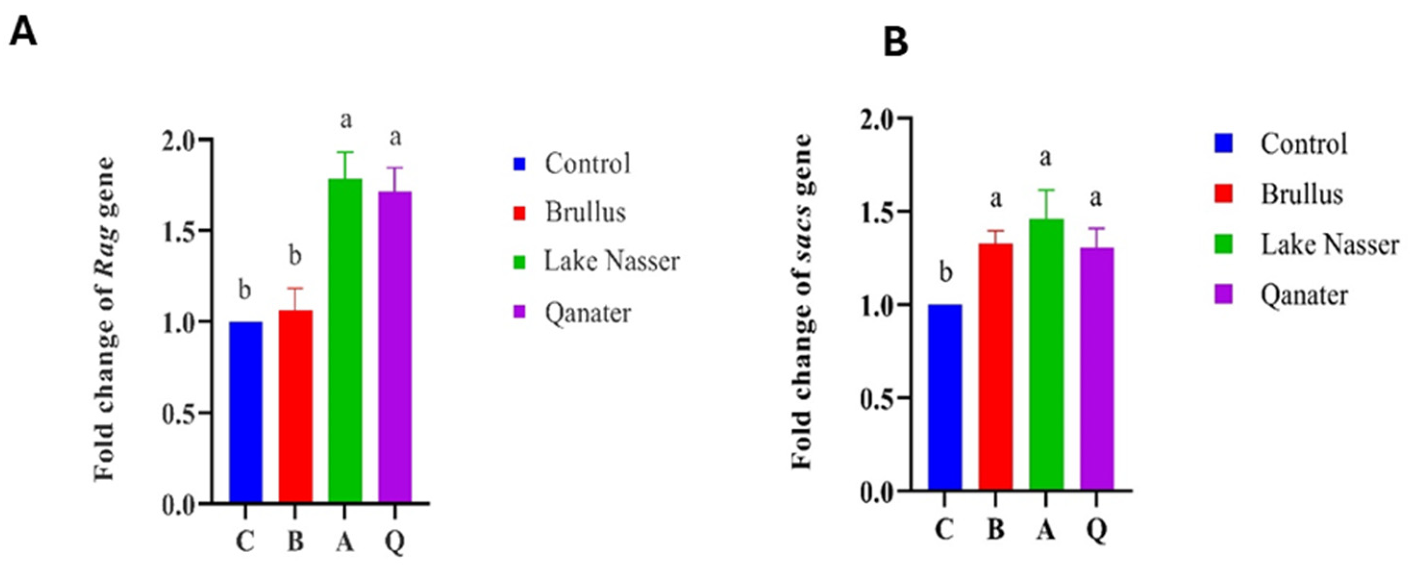 Animals 15 02097 g010