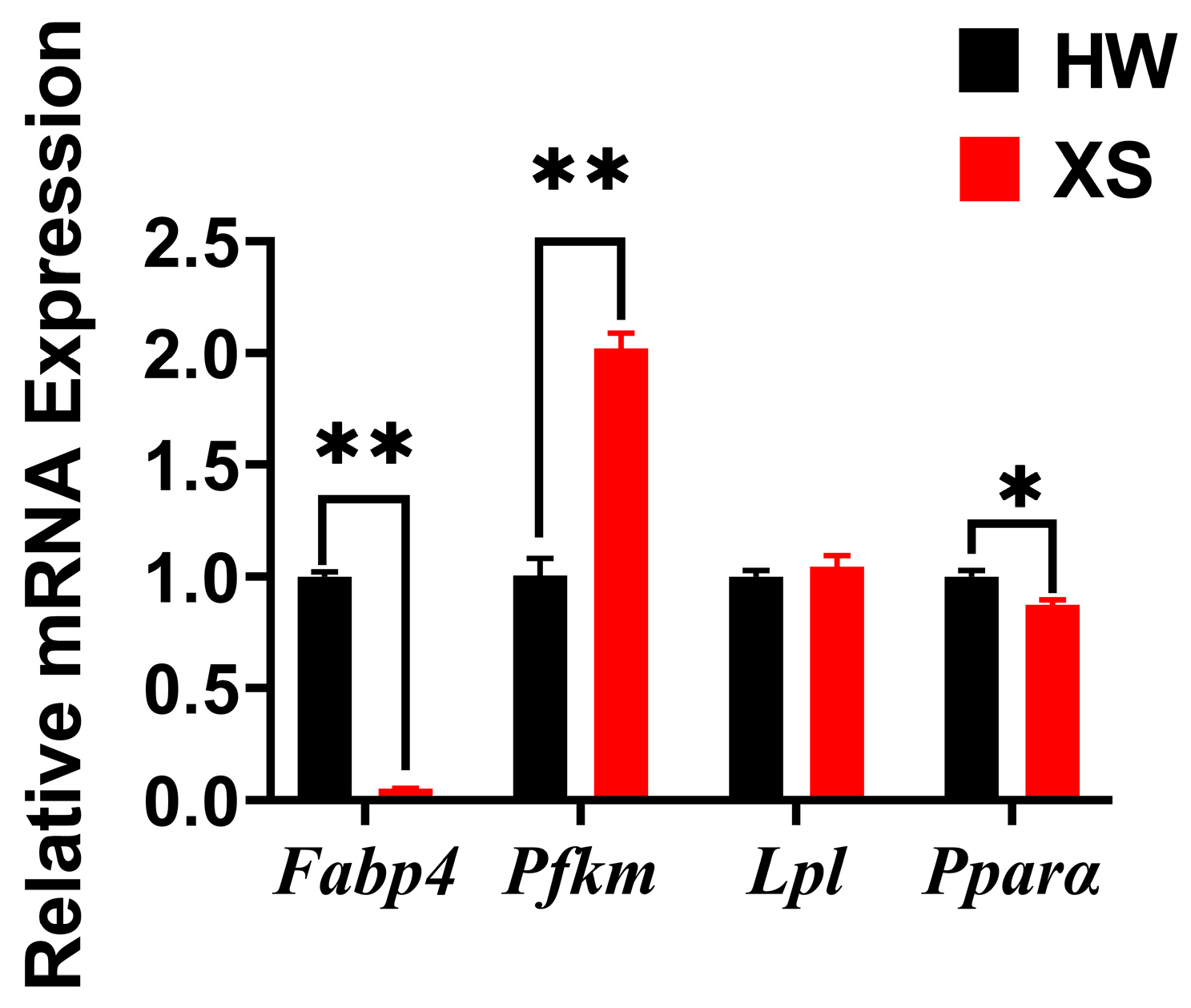Animals 15 02099 g003