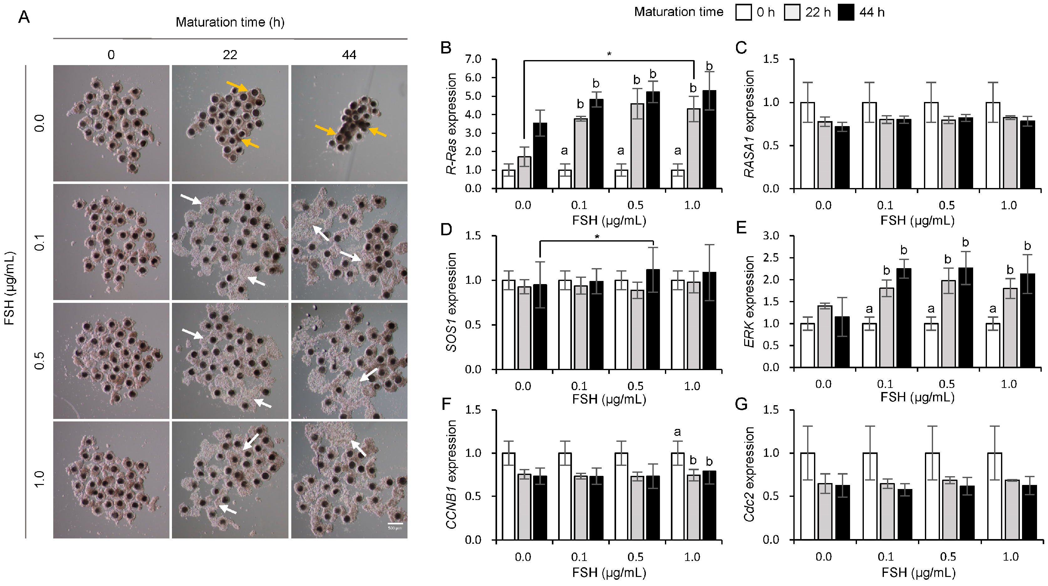 Animals 15 02100 g002