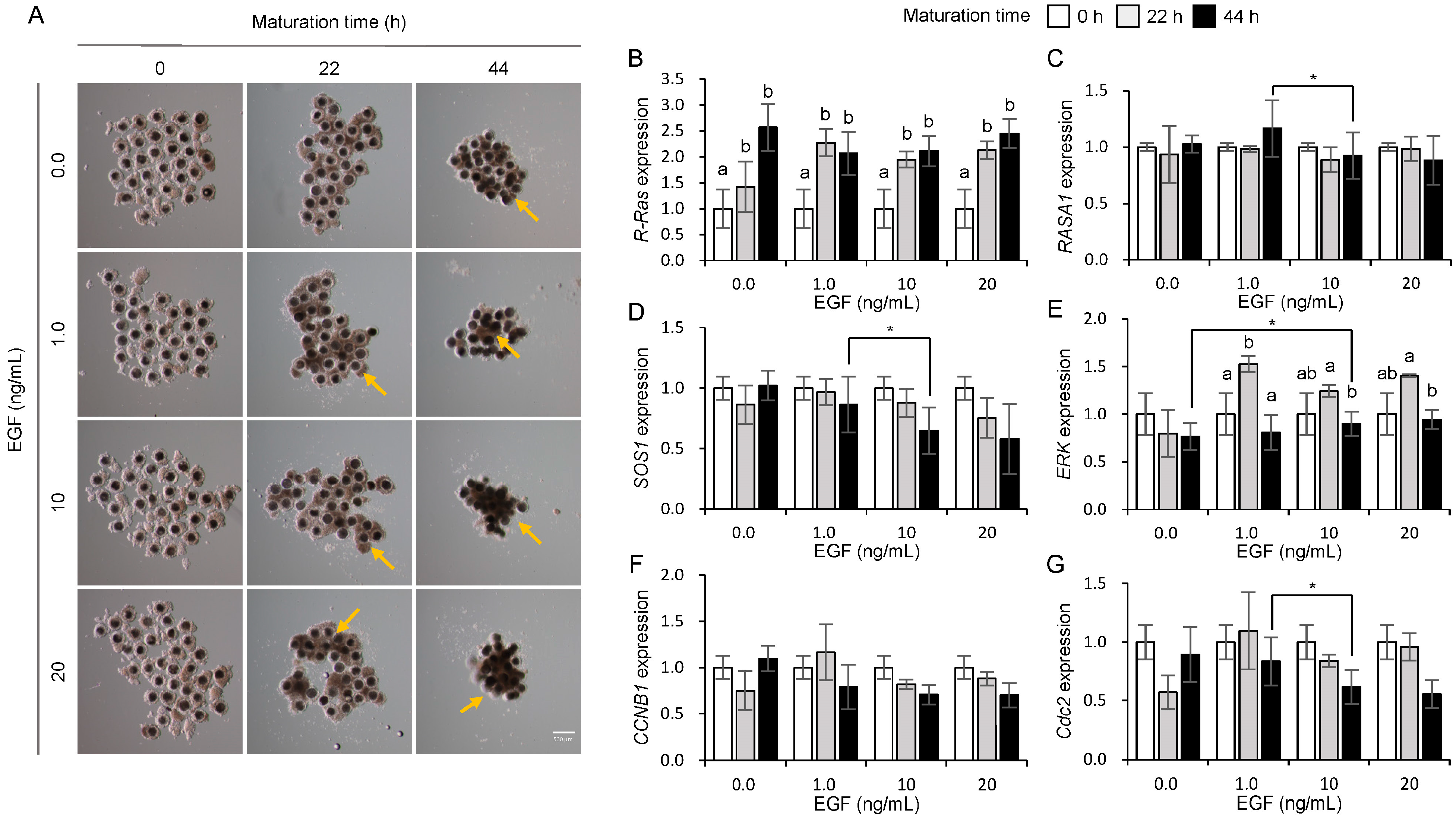 Animals 15 02100 g004