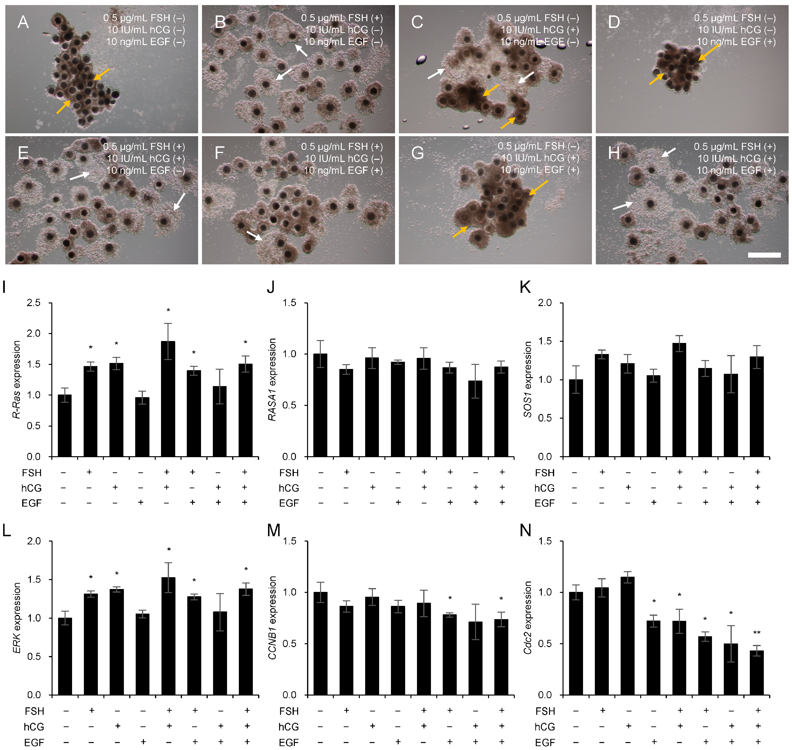 Animals 15 02100 g005