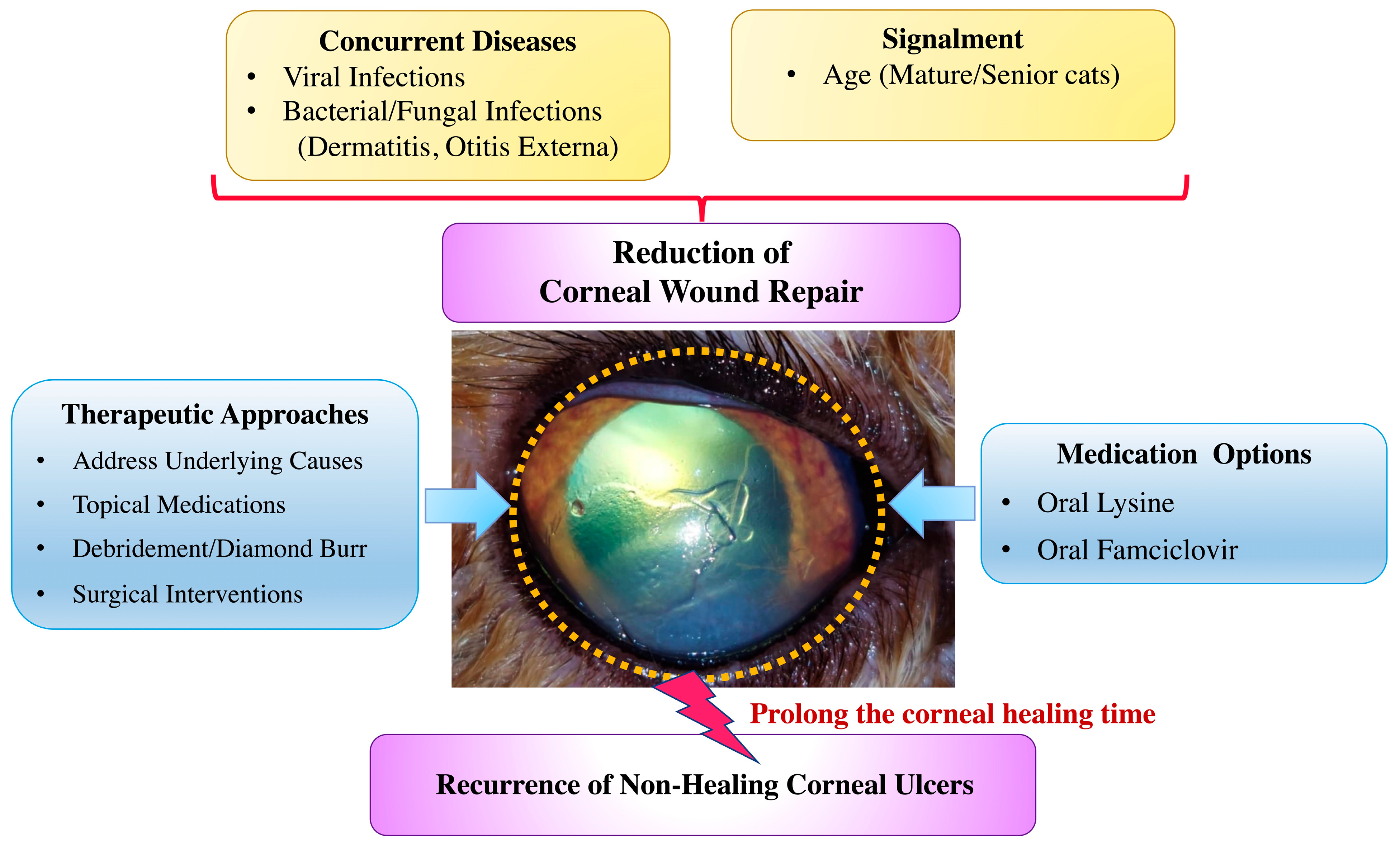 Animals 15 02104 g003