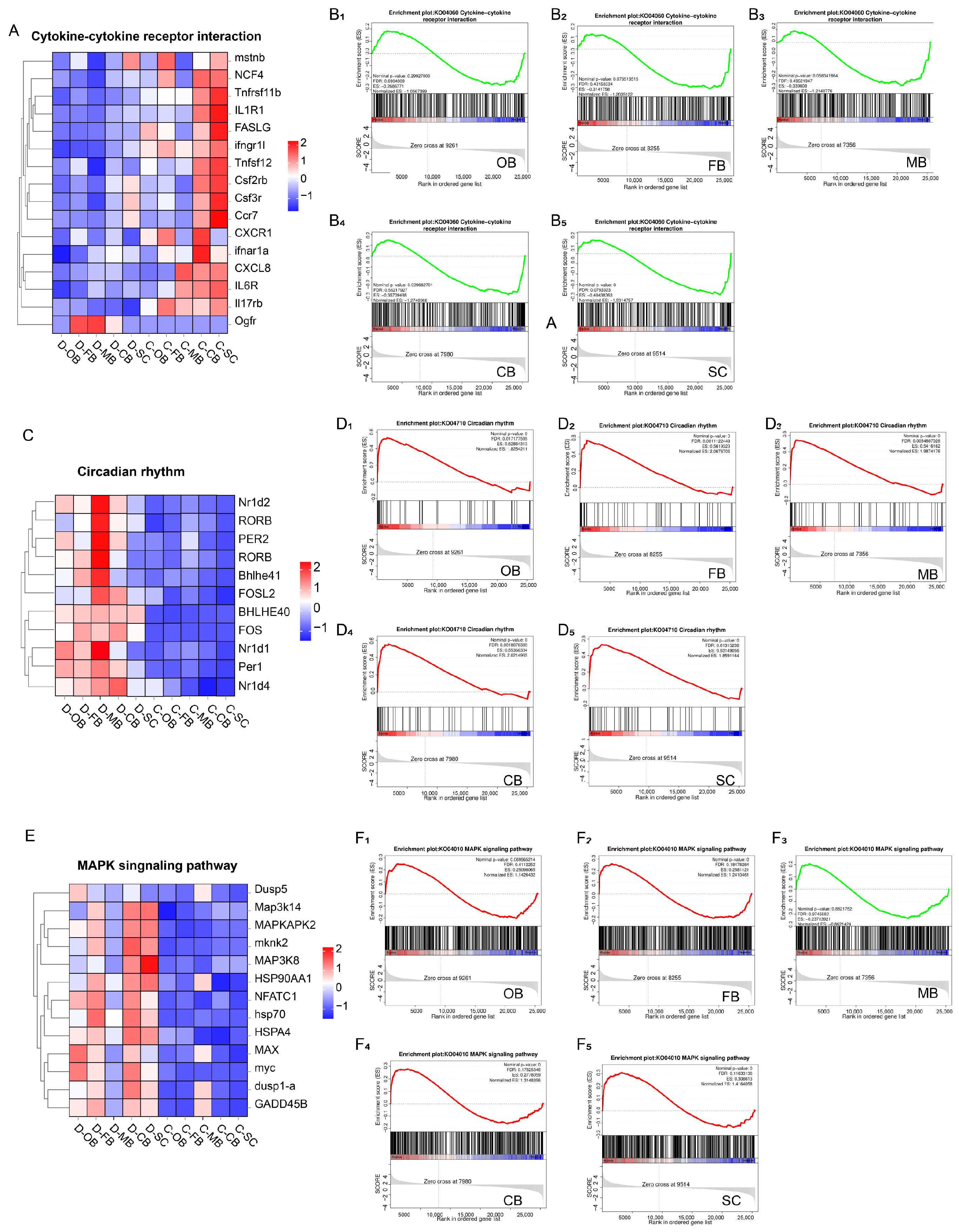 Animals 15 02107 g004