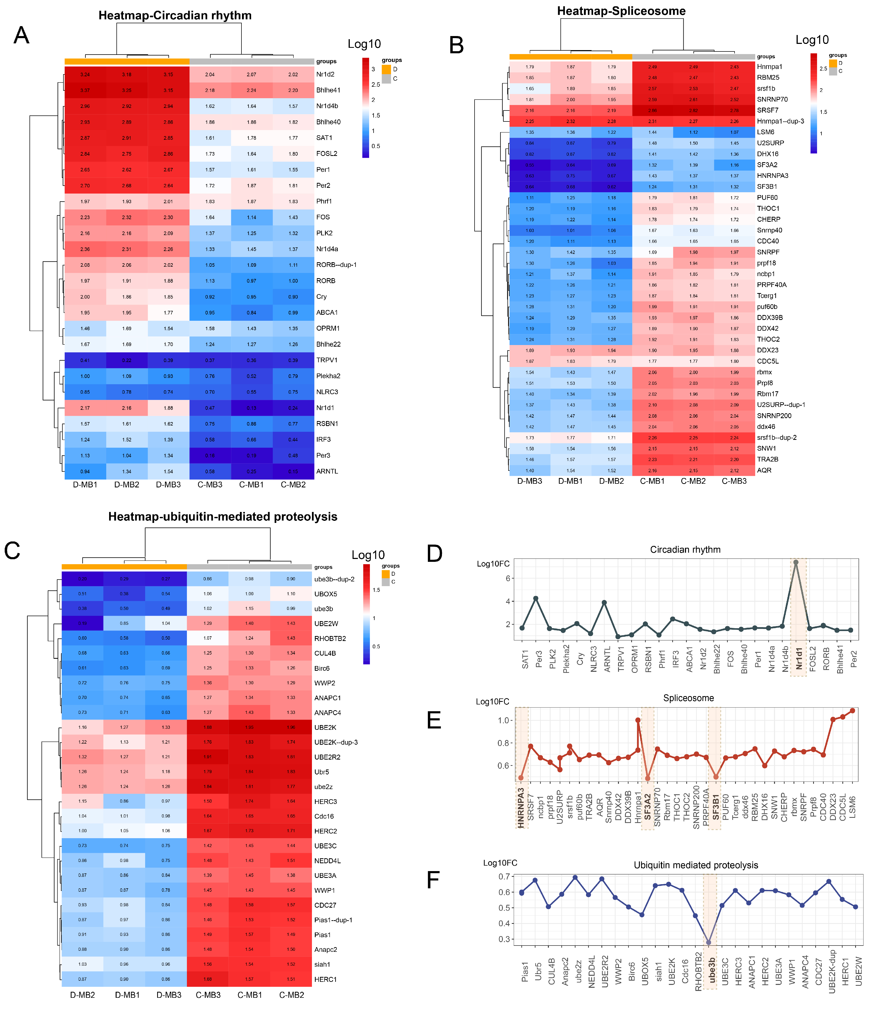 Animals 15 02107 g006
