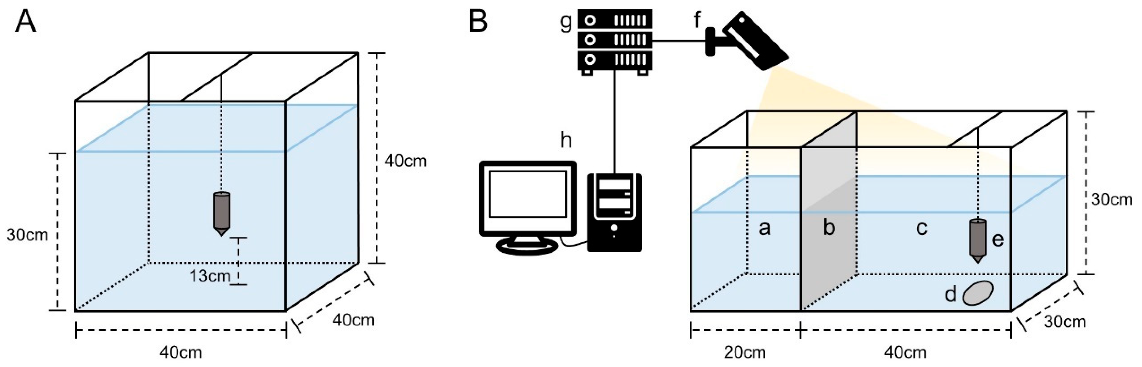 Animals 15 02113 g001