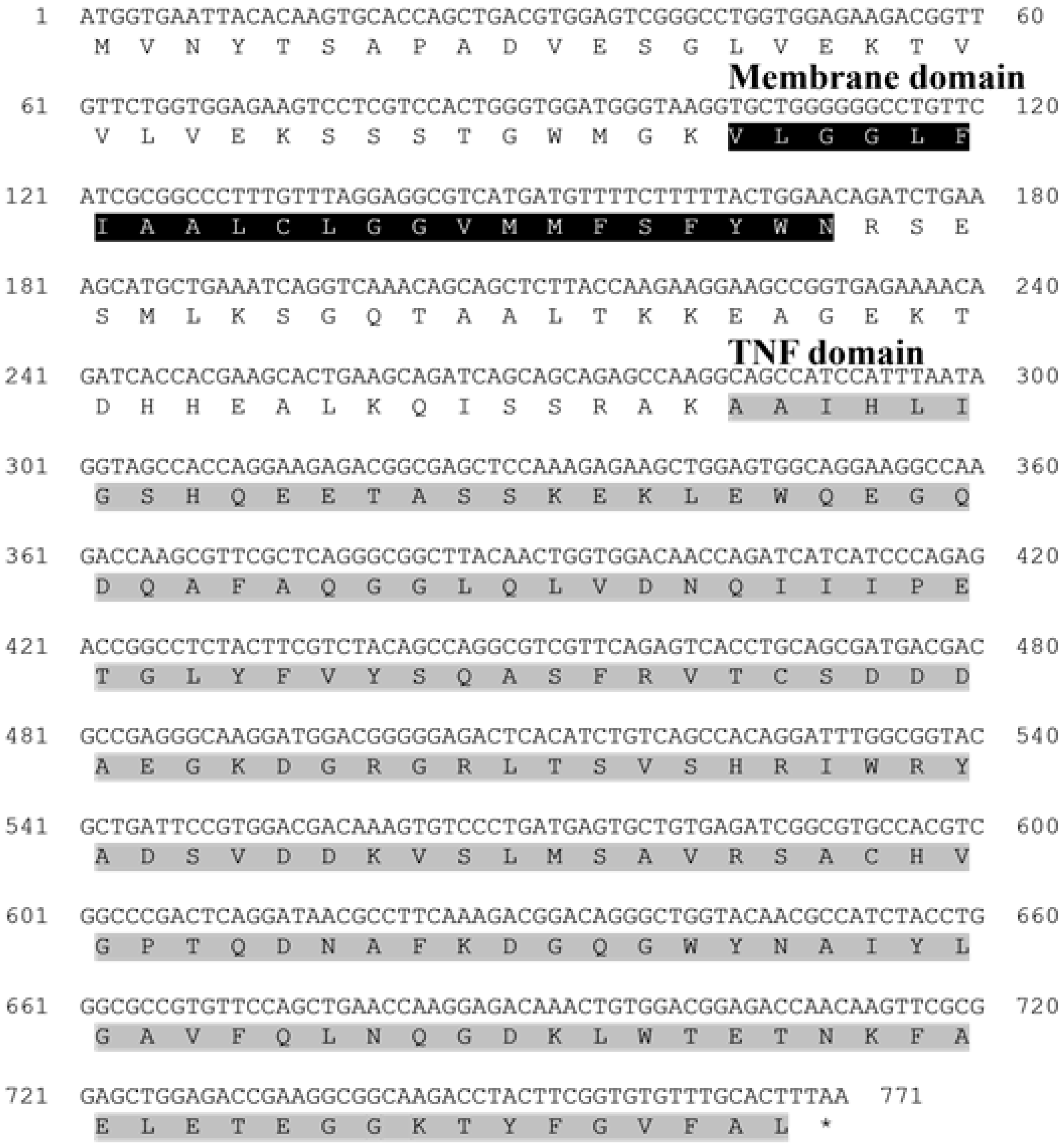 Animals 15 02119 g001