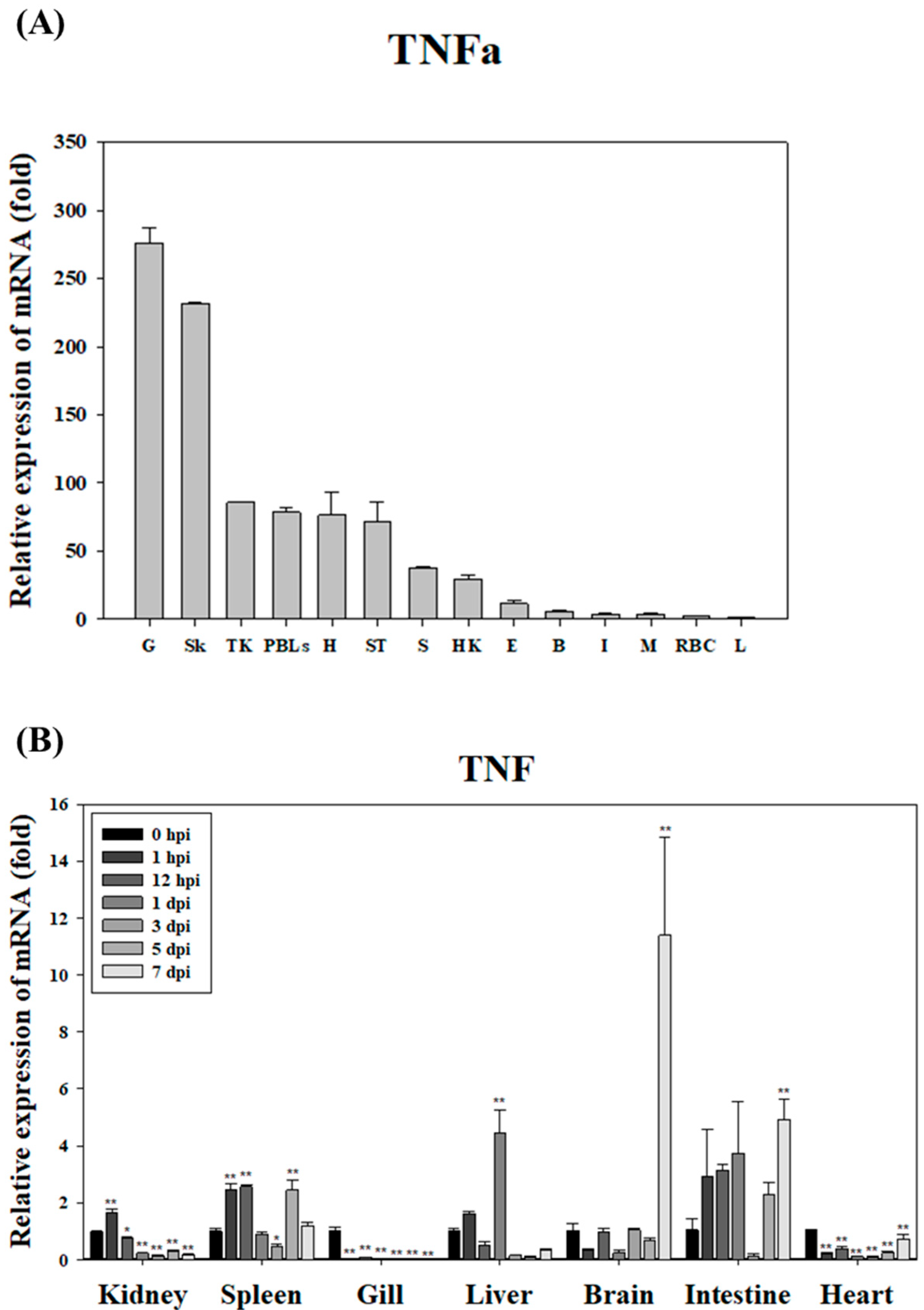 Animals 15 02119 g003