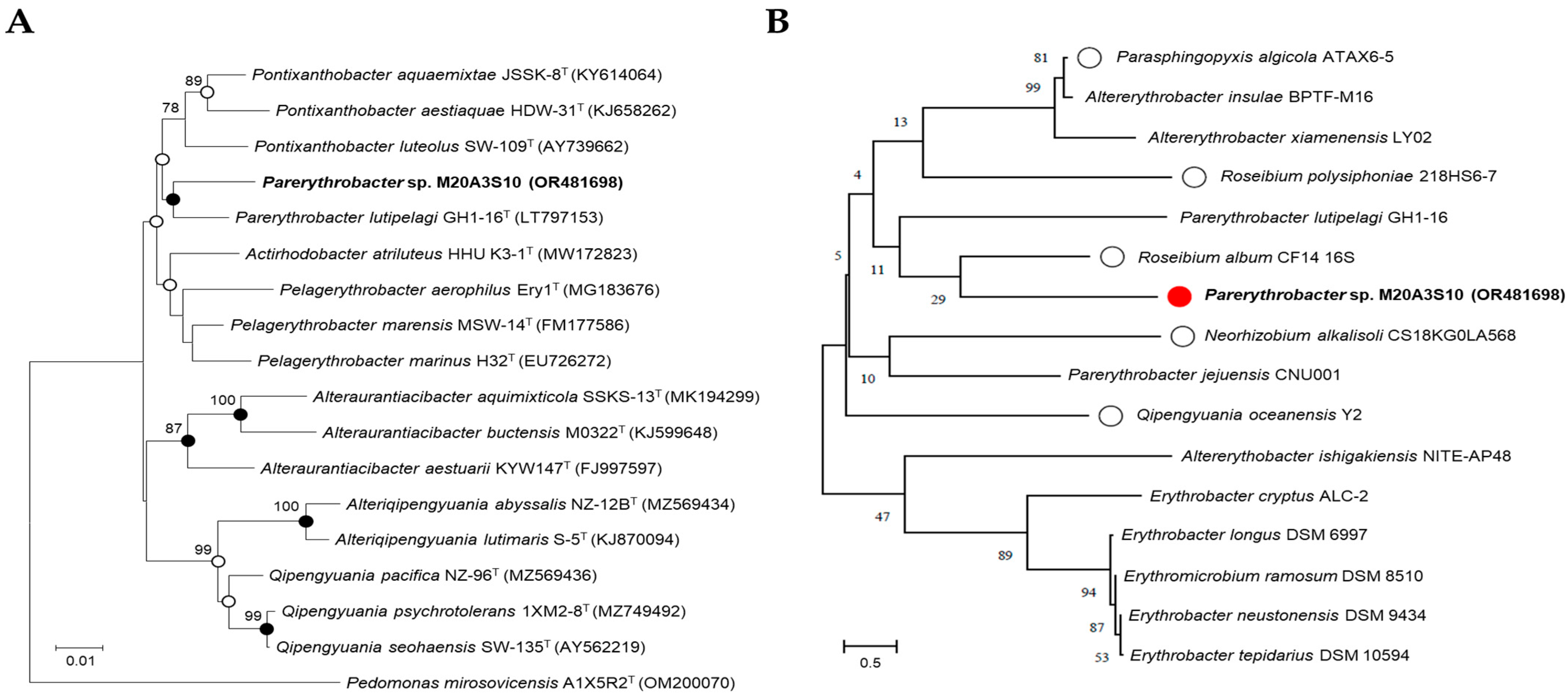 Animals 15 02125 g001