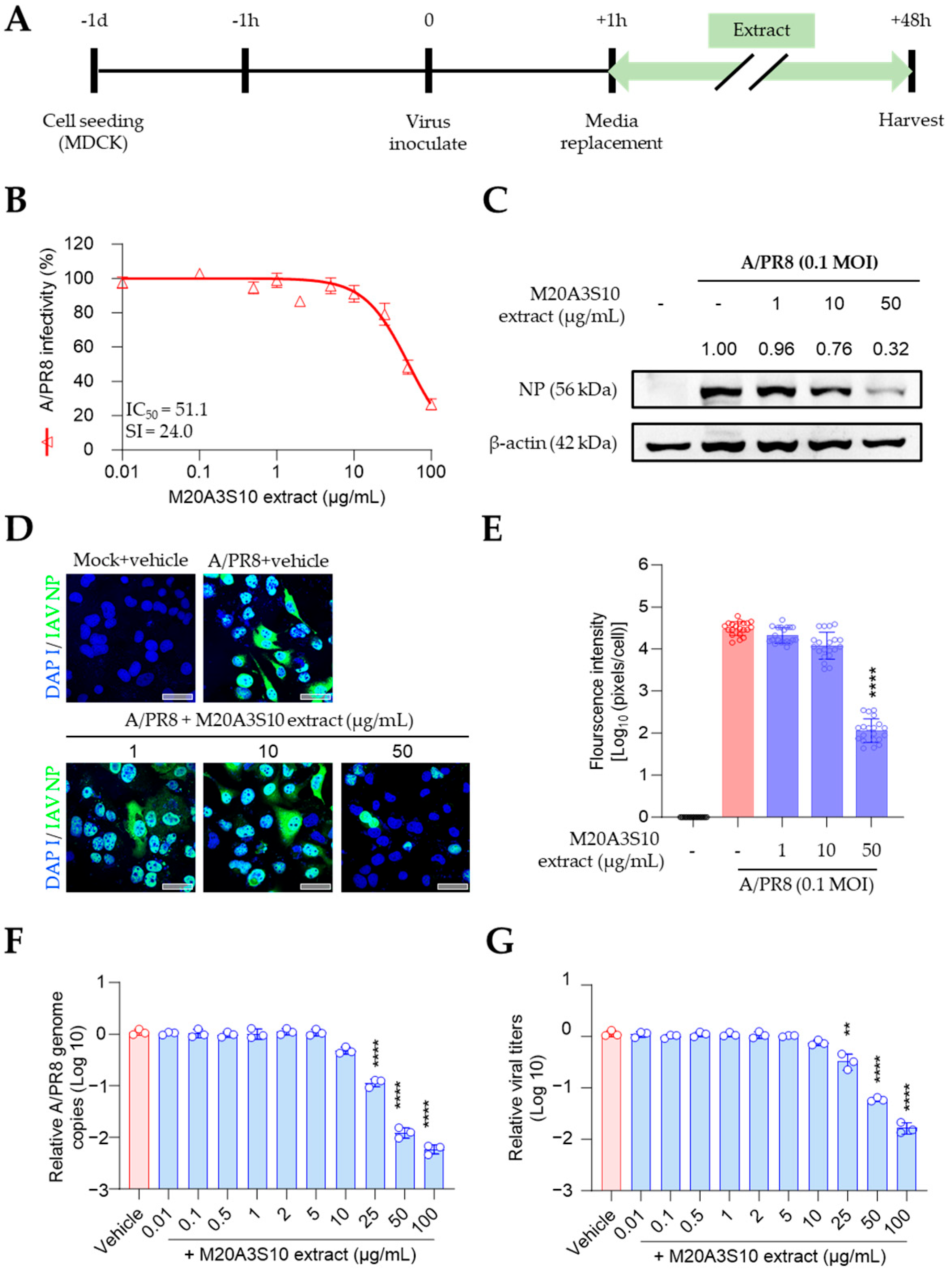 Animals 15 02125 g003