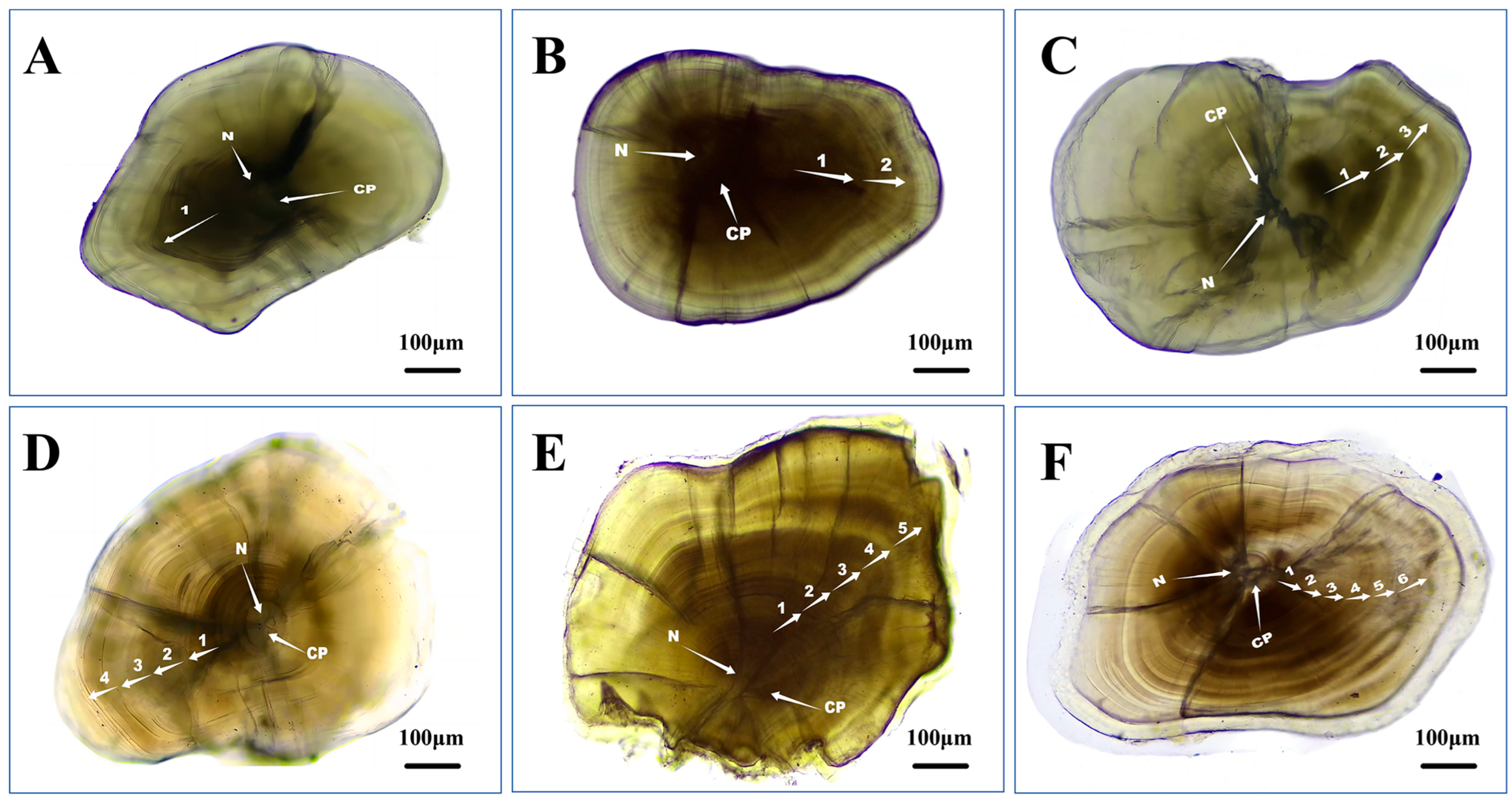 Animals 15 02128 g002 Animals 15 02128 g002
