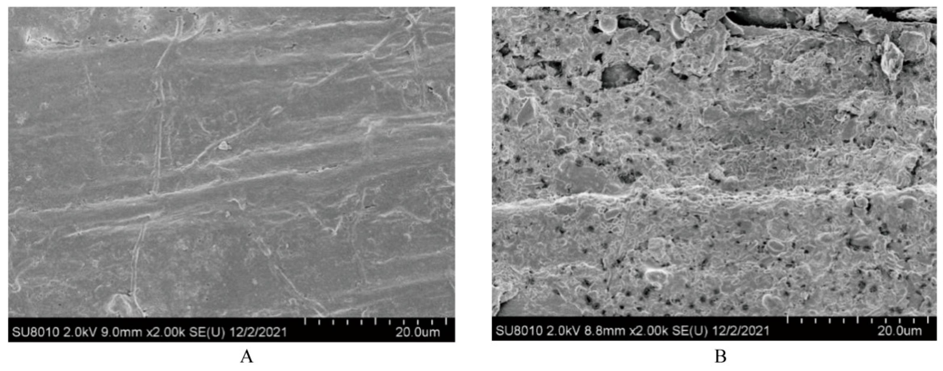 Animals 15 02131 g001