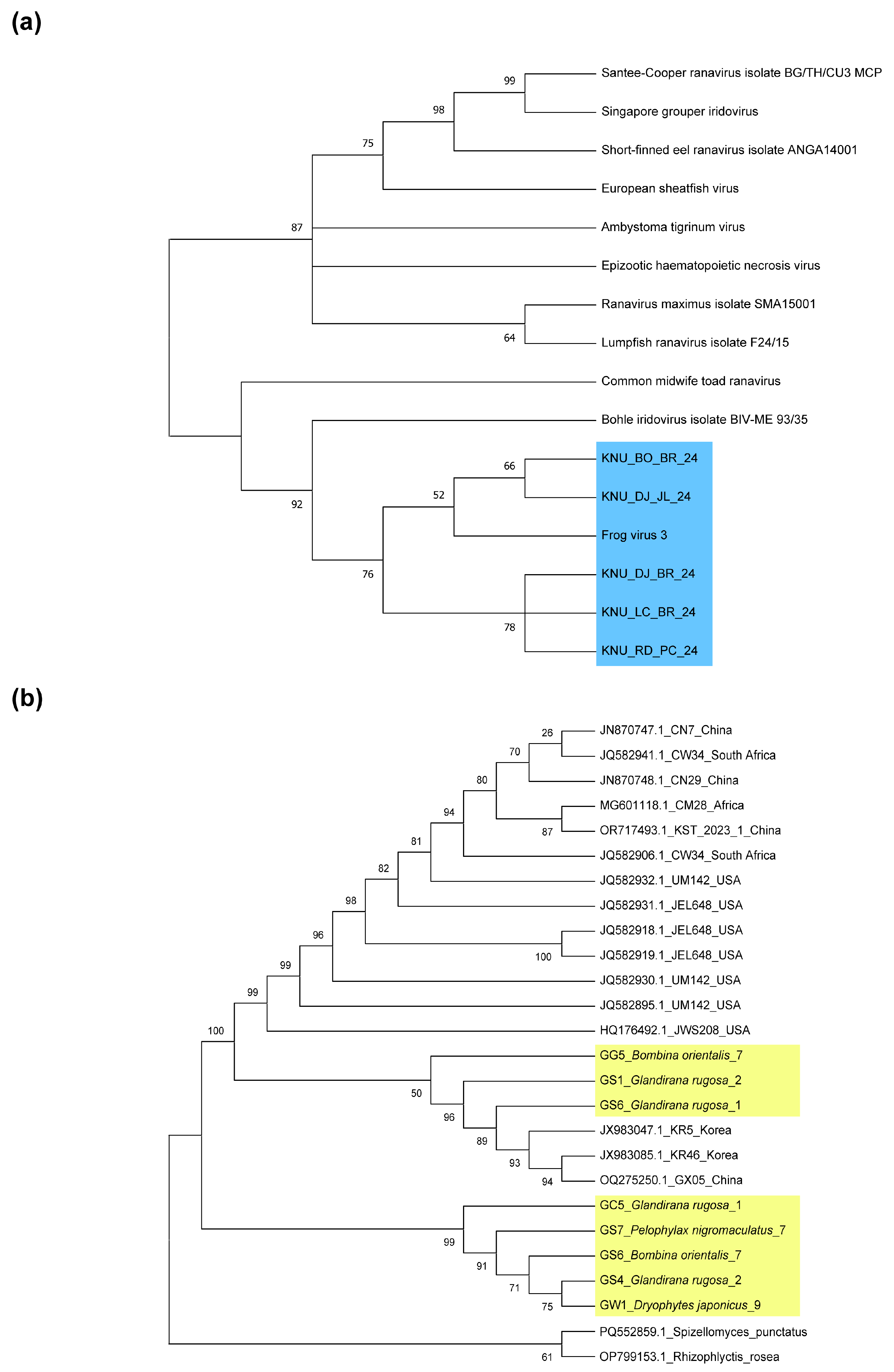 Animals 15 02132 g002