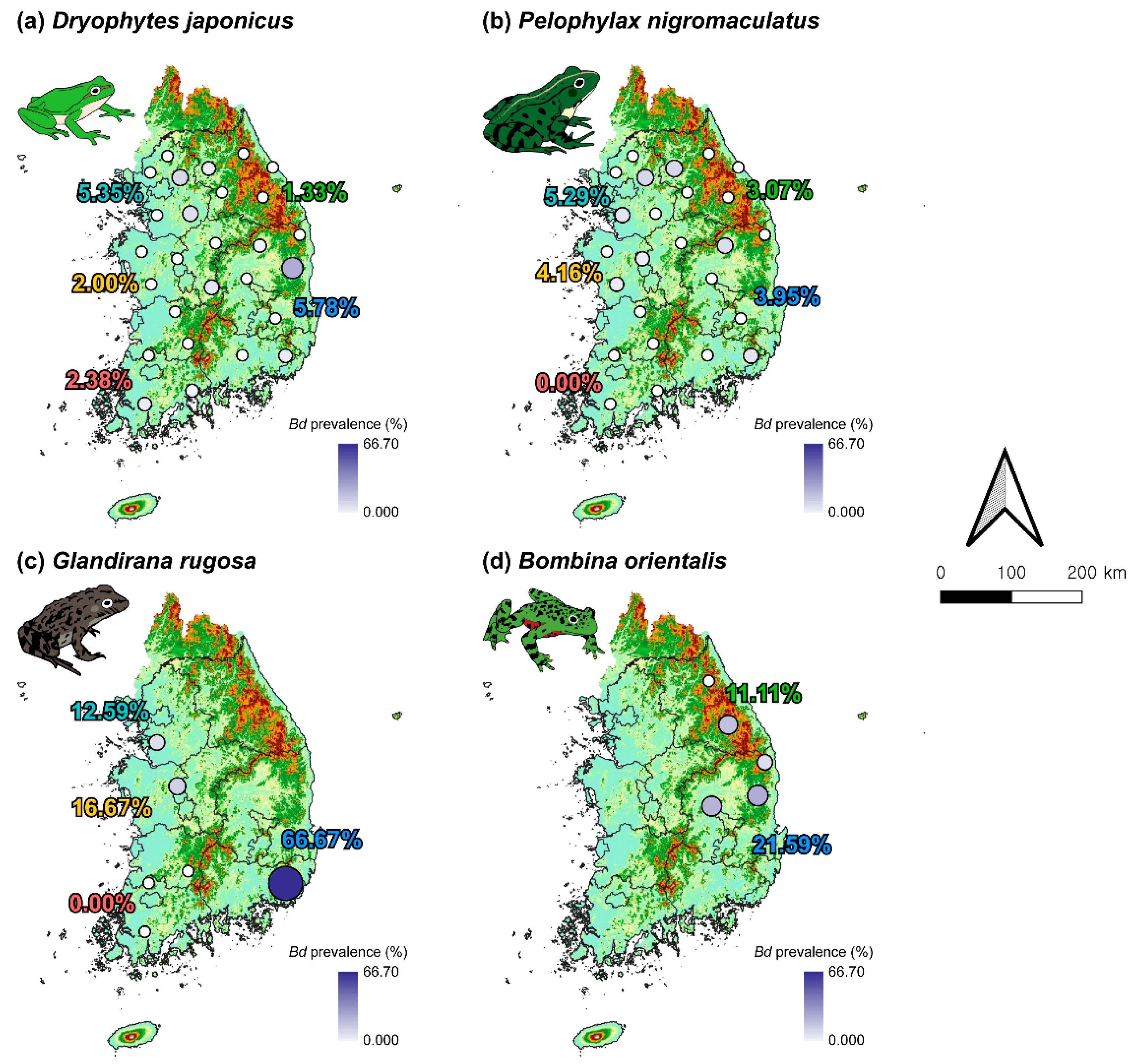 Animals 15 02132 g004