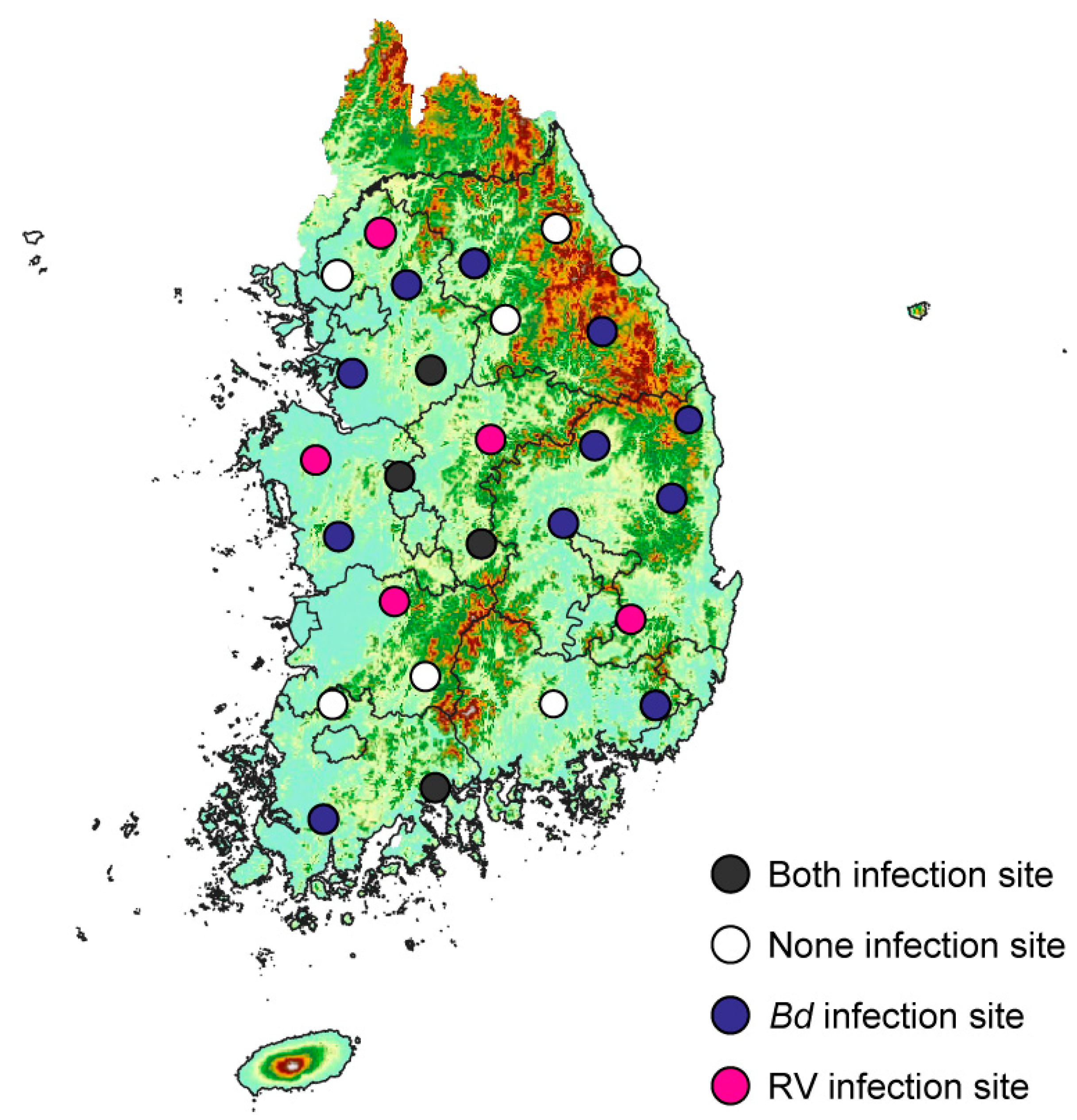 Animals 15 02132 g008