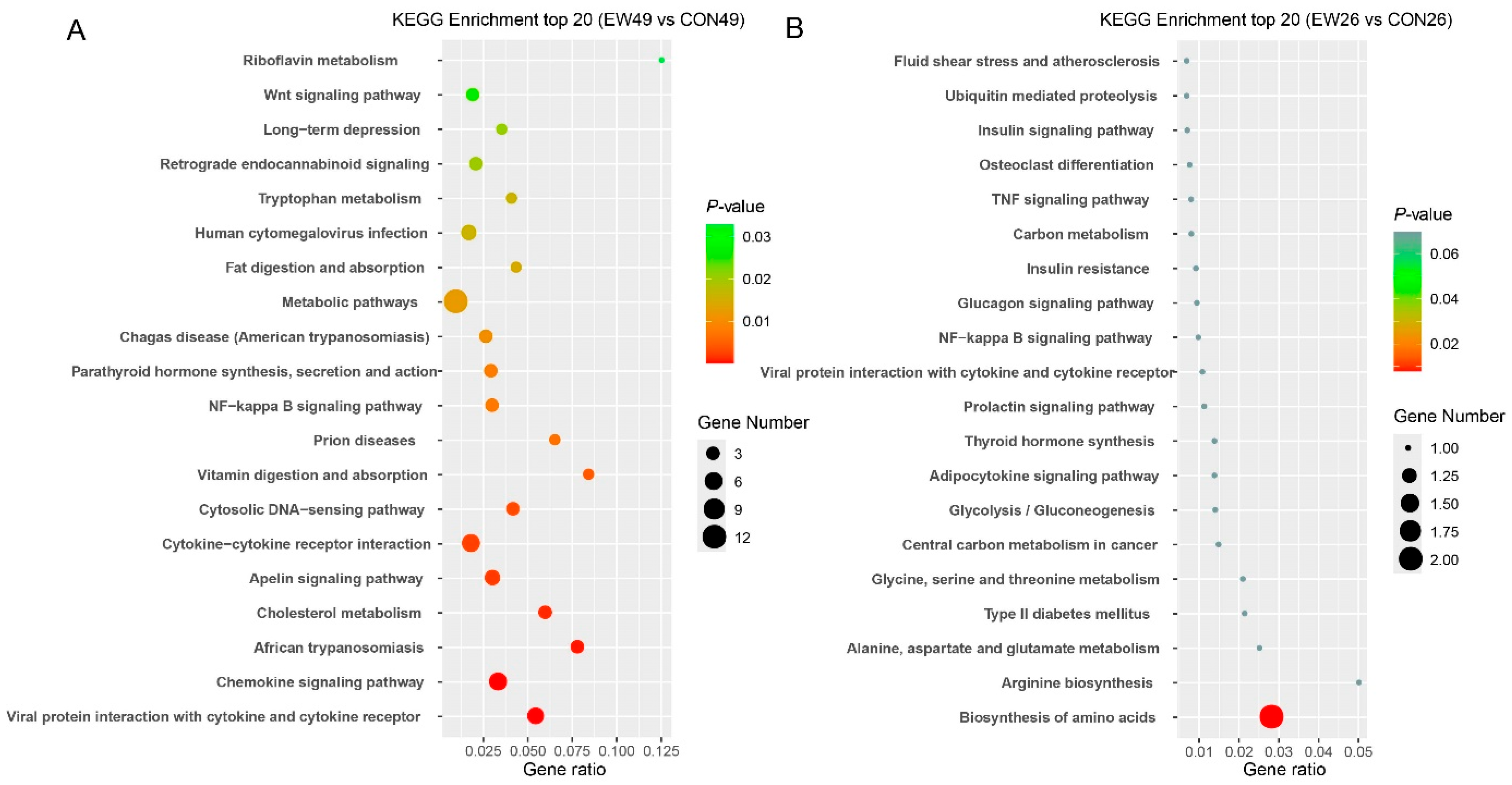 Animals 15 02135 g004