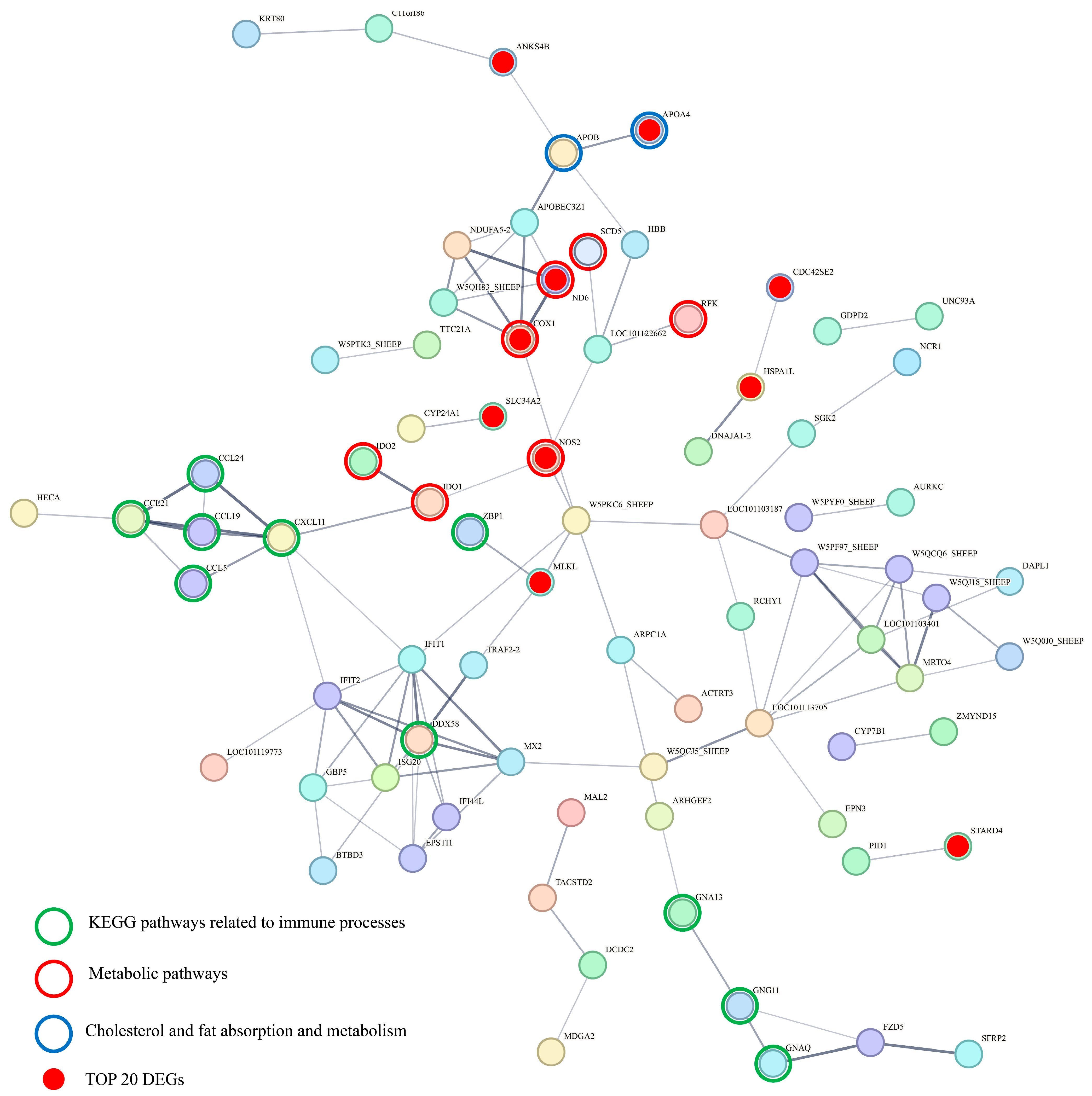 Animals 15 02135 g005