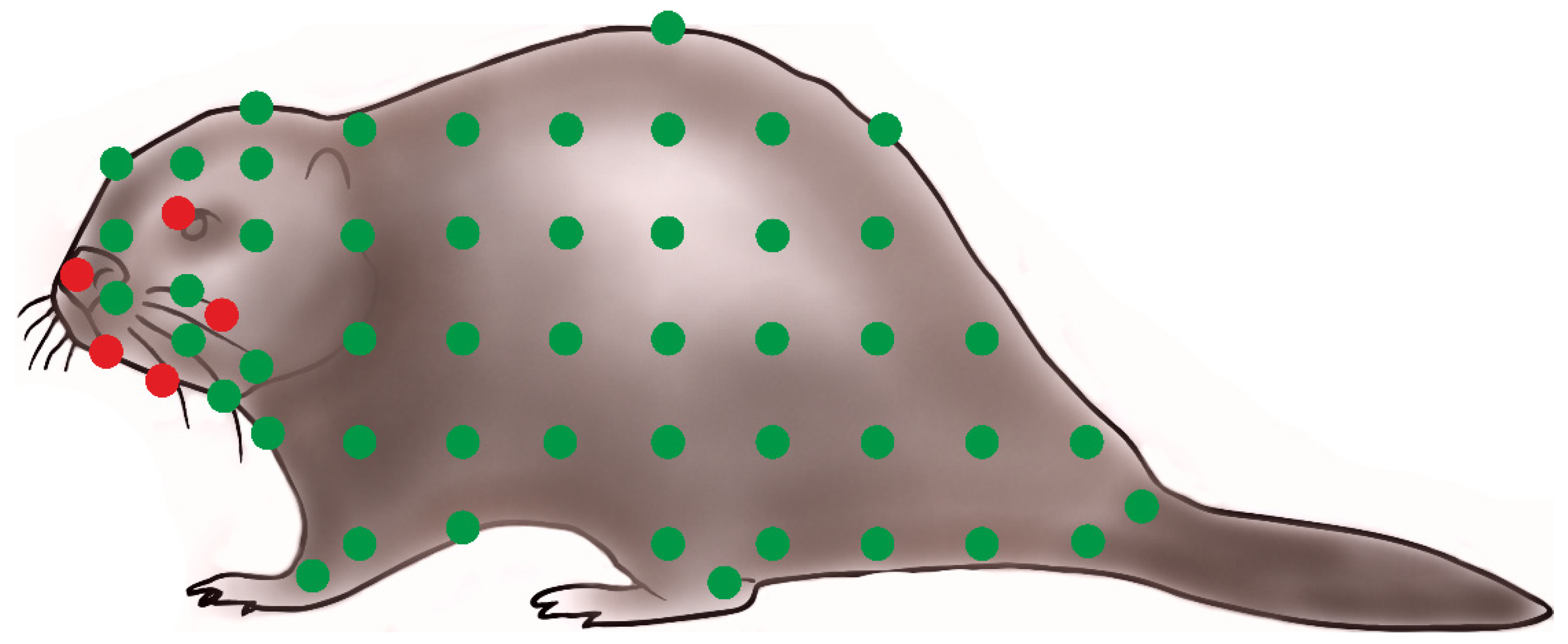 Animals 15 02136 g004