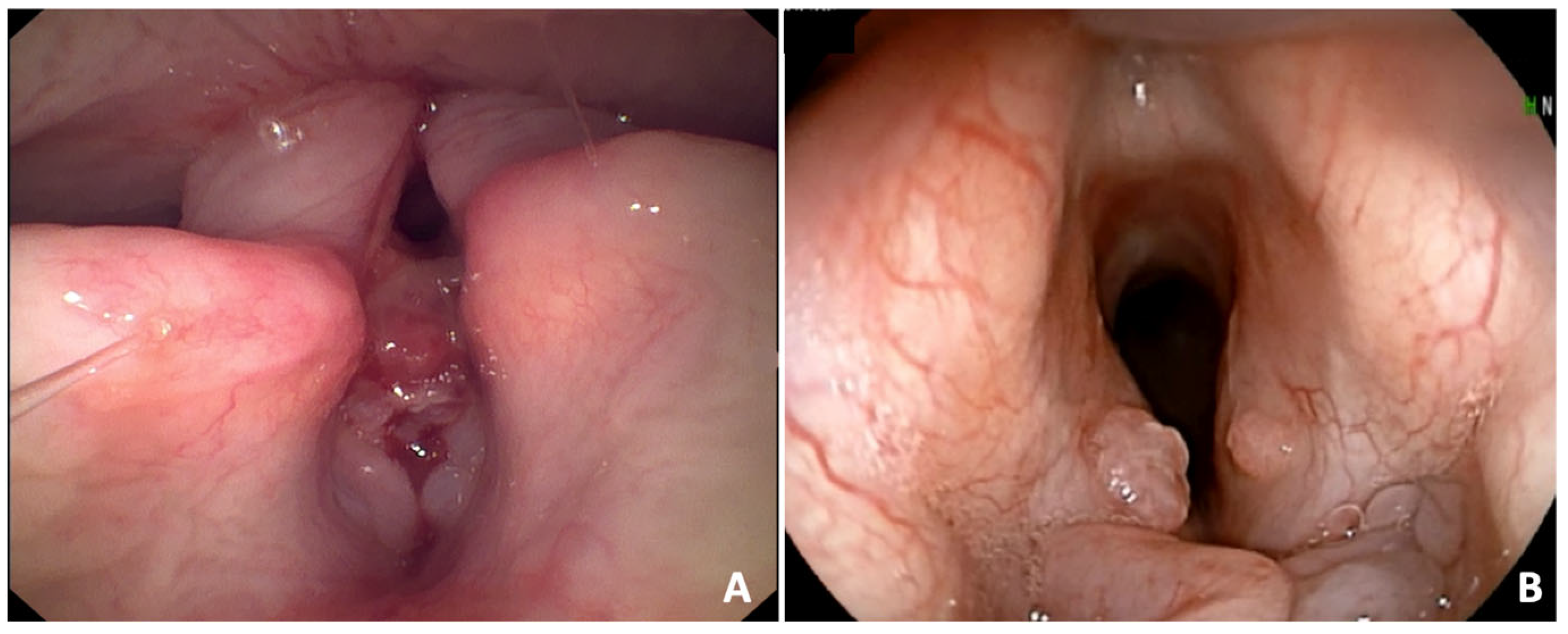 Animals 15 02137 g003