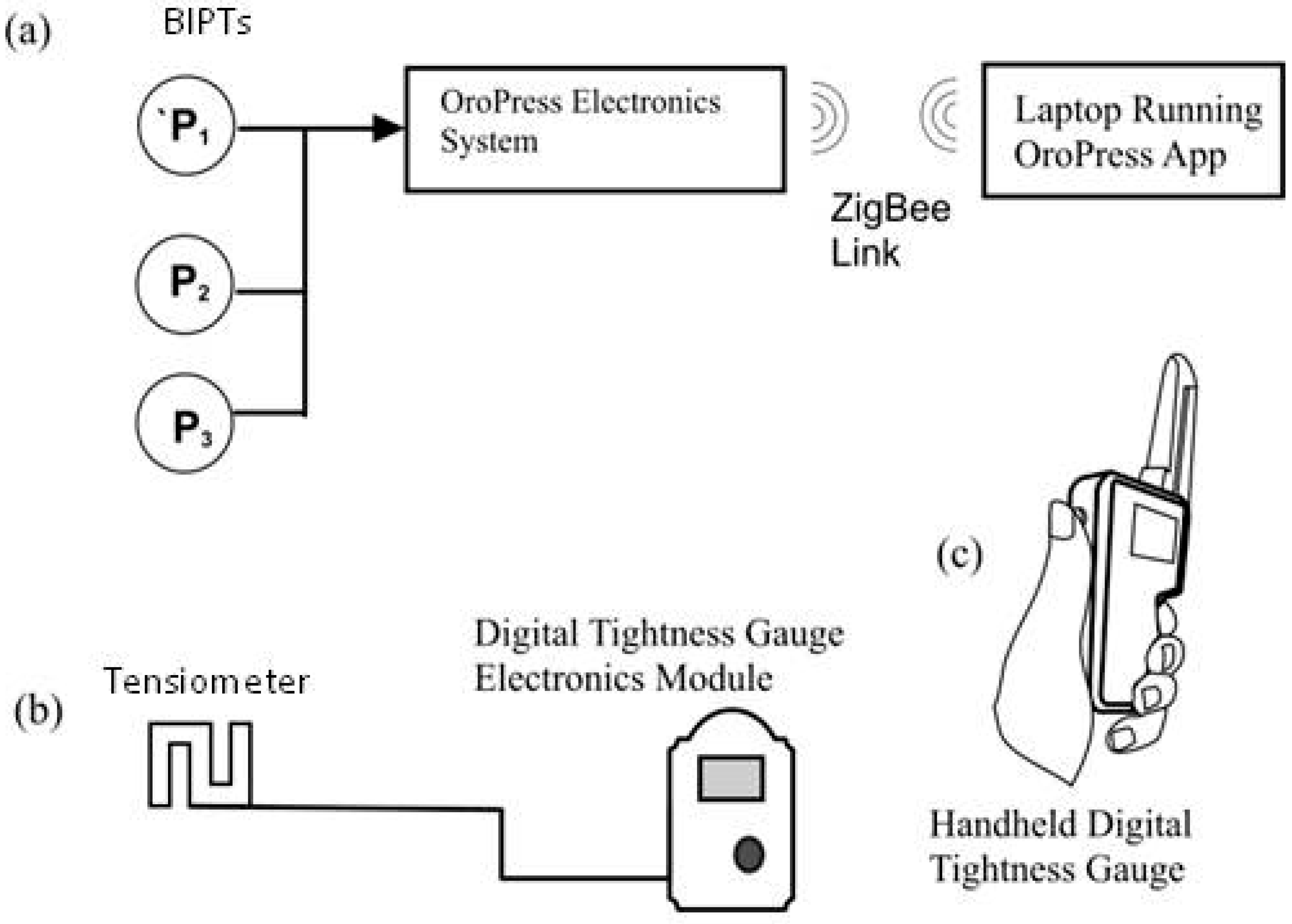 Animals 15 02141 g002