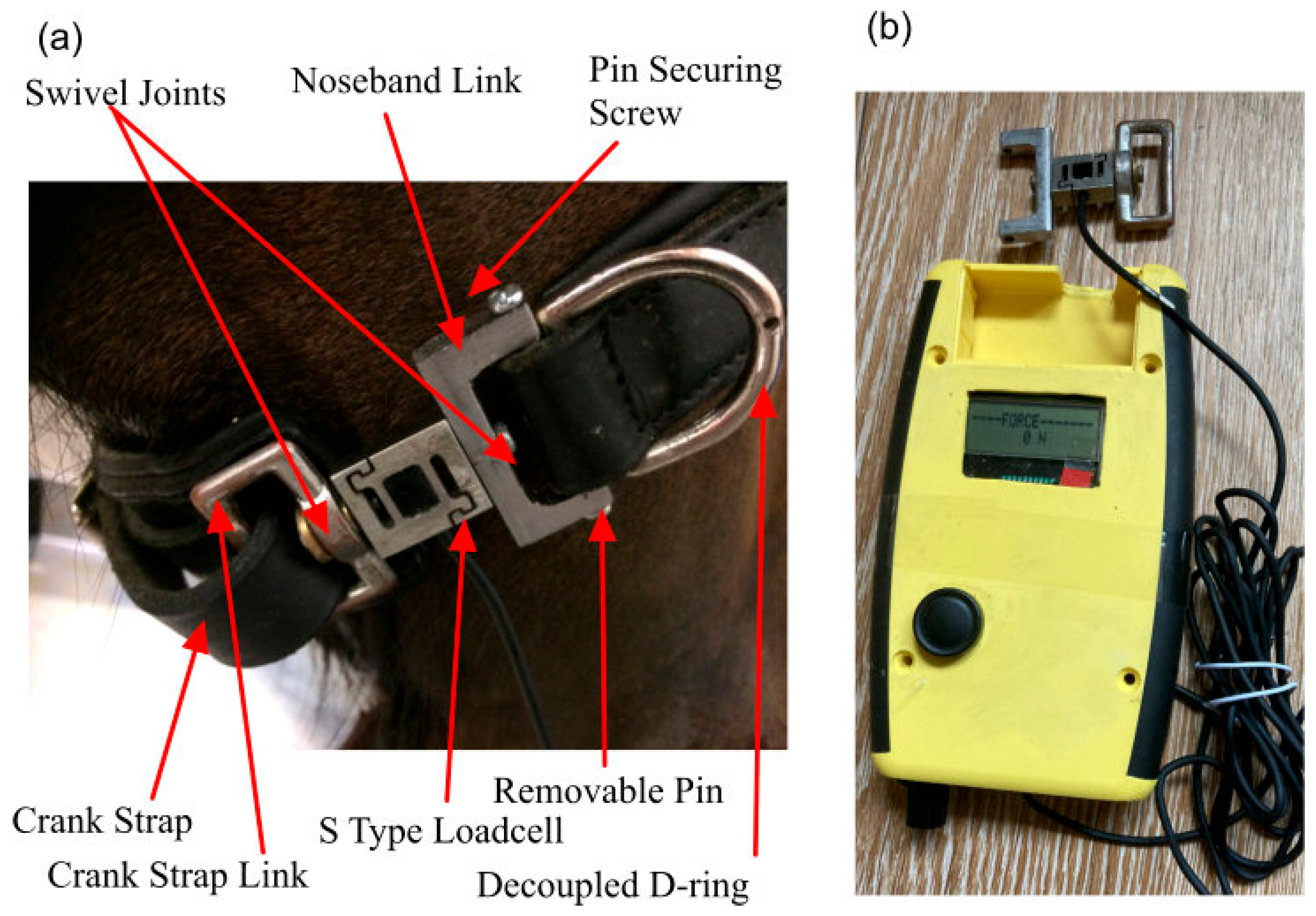 Animals 15 02141 g004