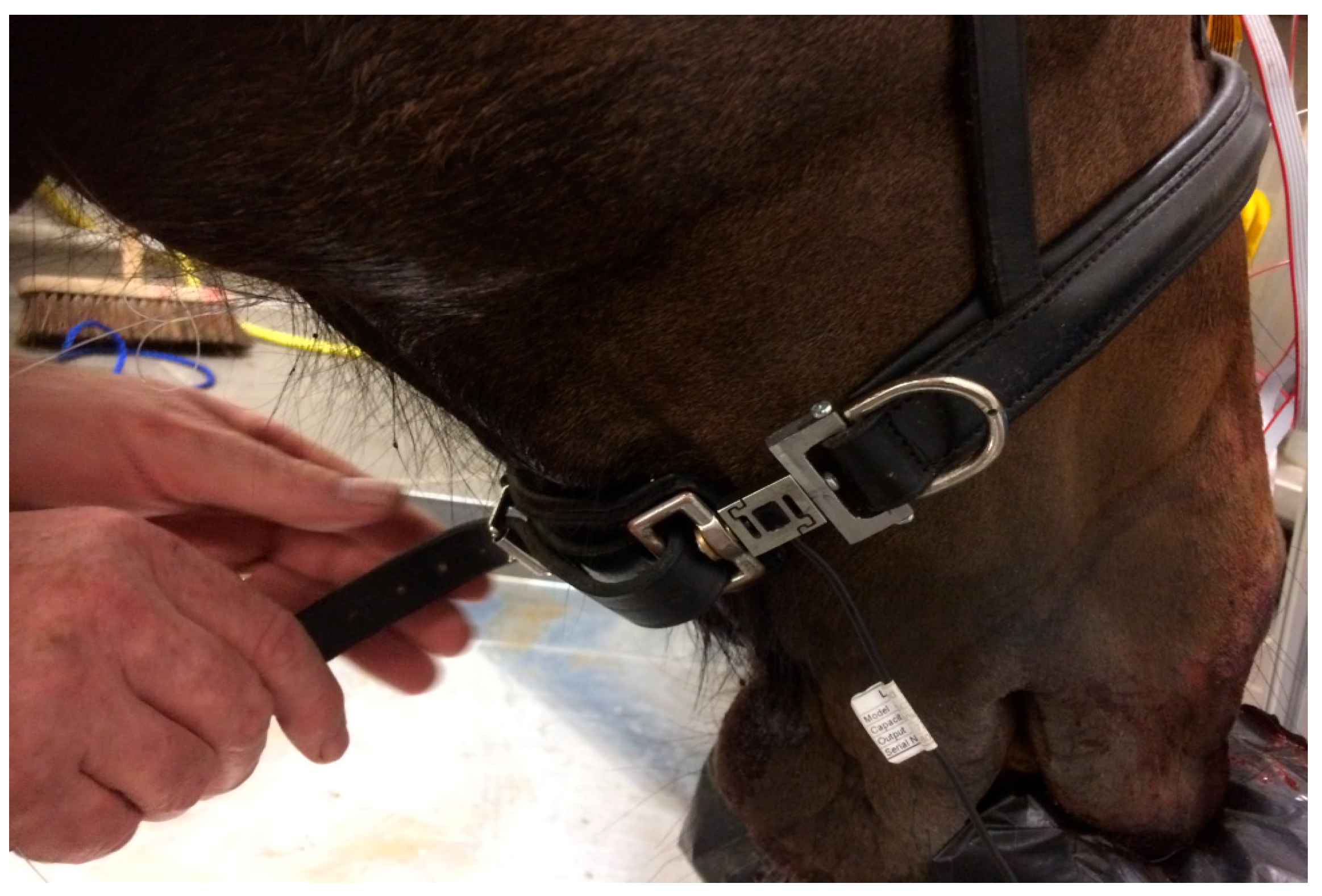 Animals 15 02141 g006