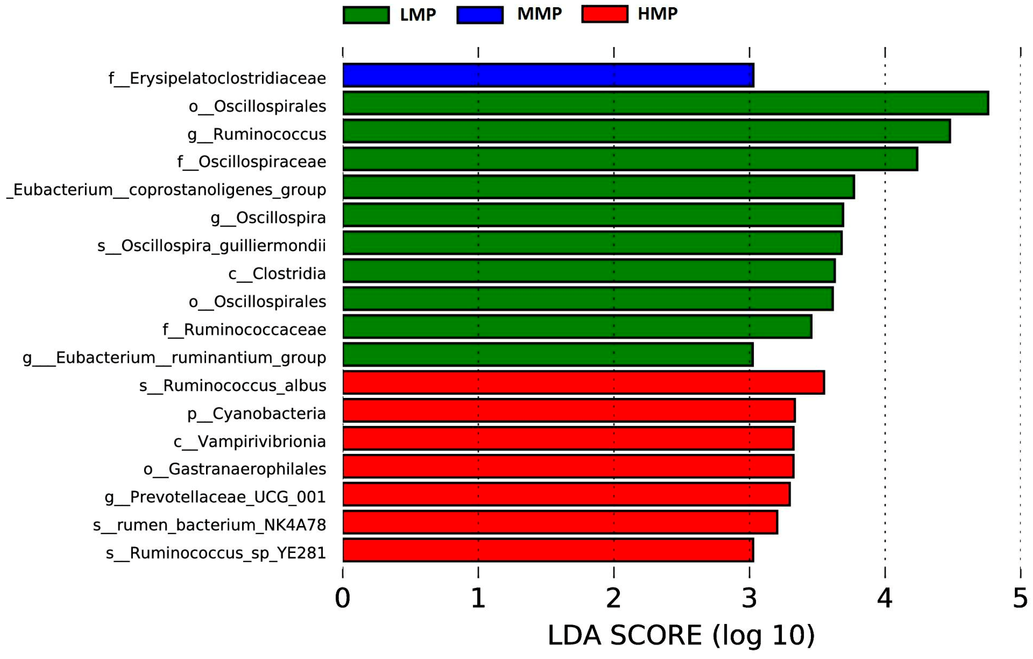 Animals 15 02147 g005