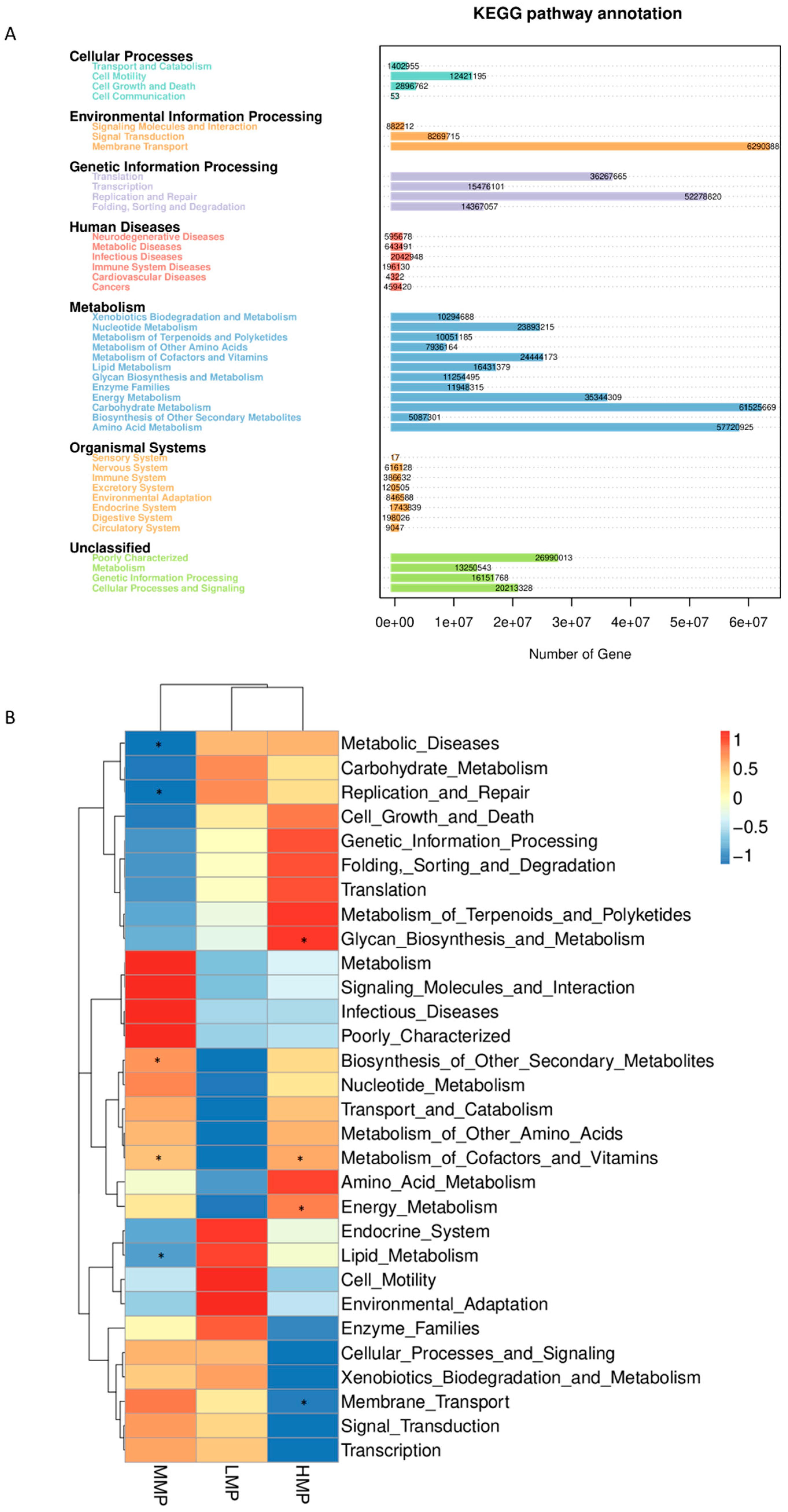 Animals 15 02147 g006