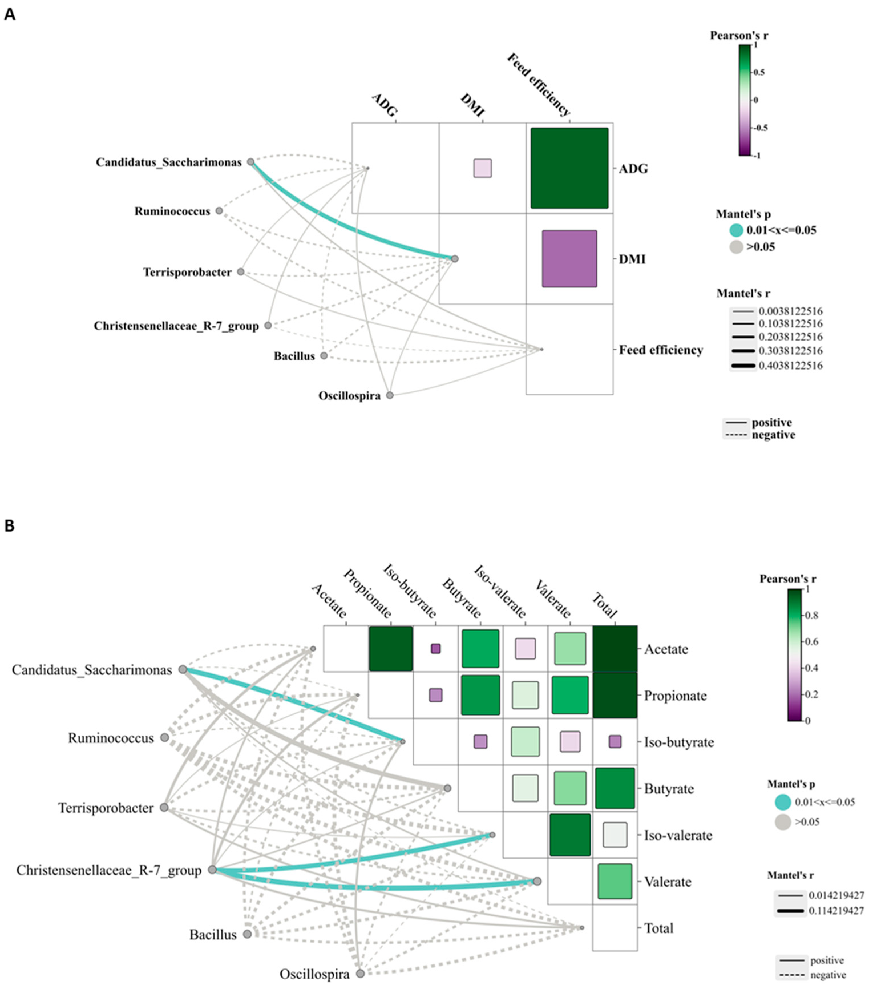 Animals 15 02147 g007