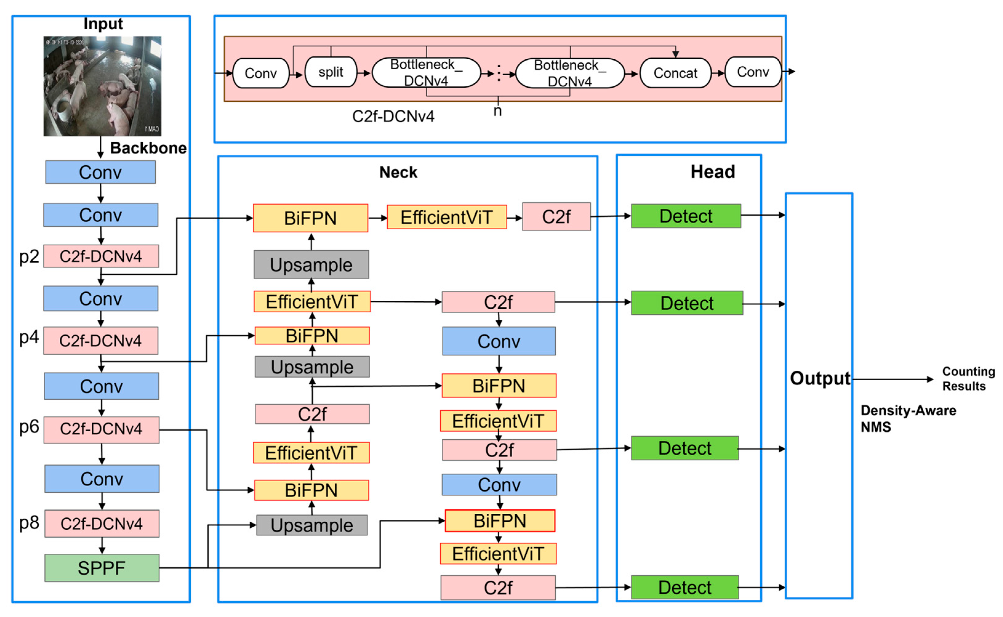 Animals 15 02149 g002