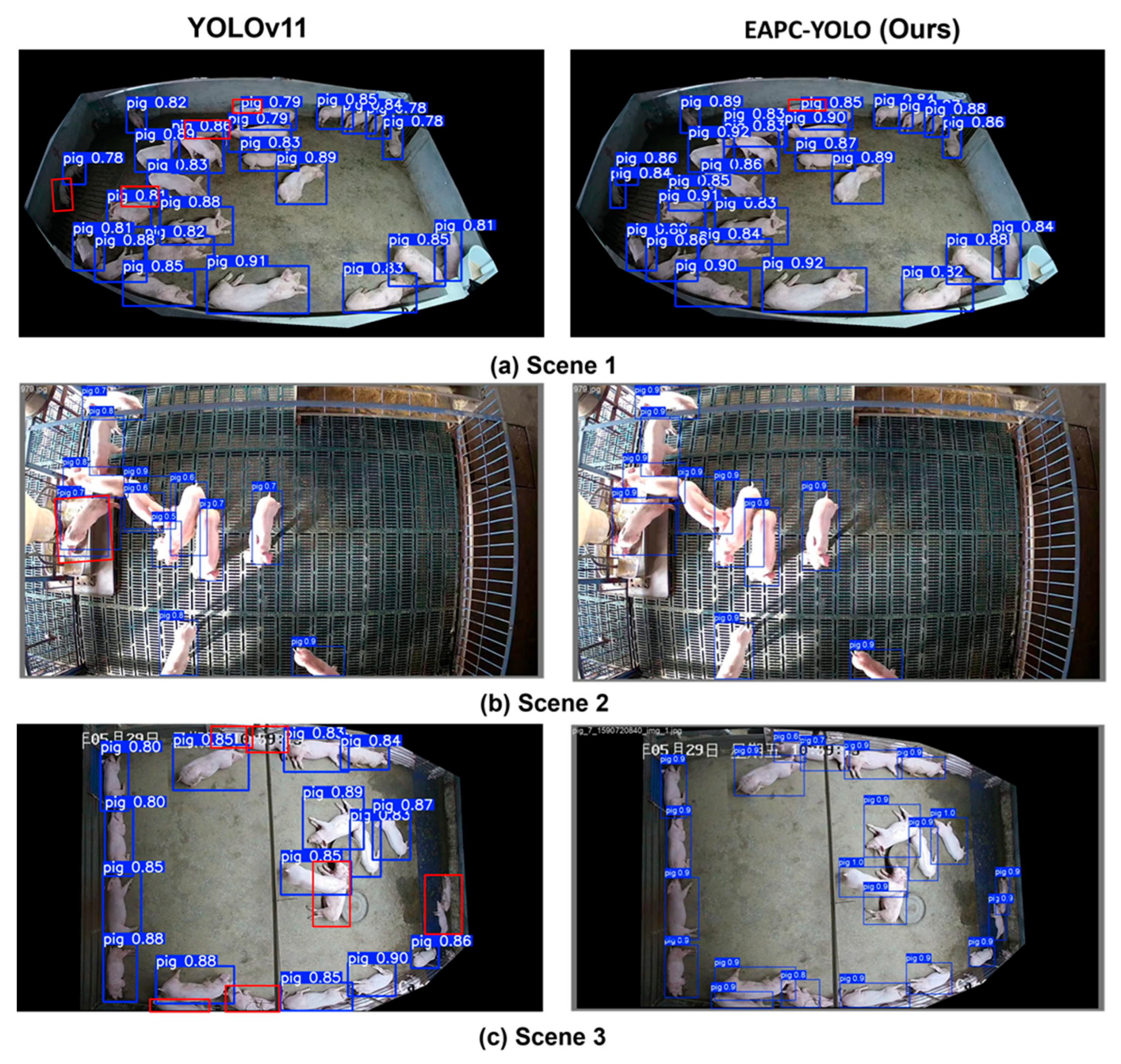 Animals 15 02149 g005