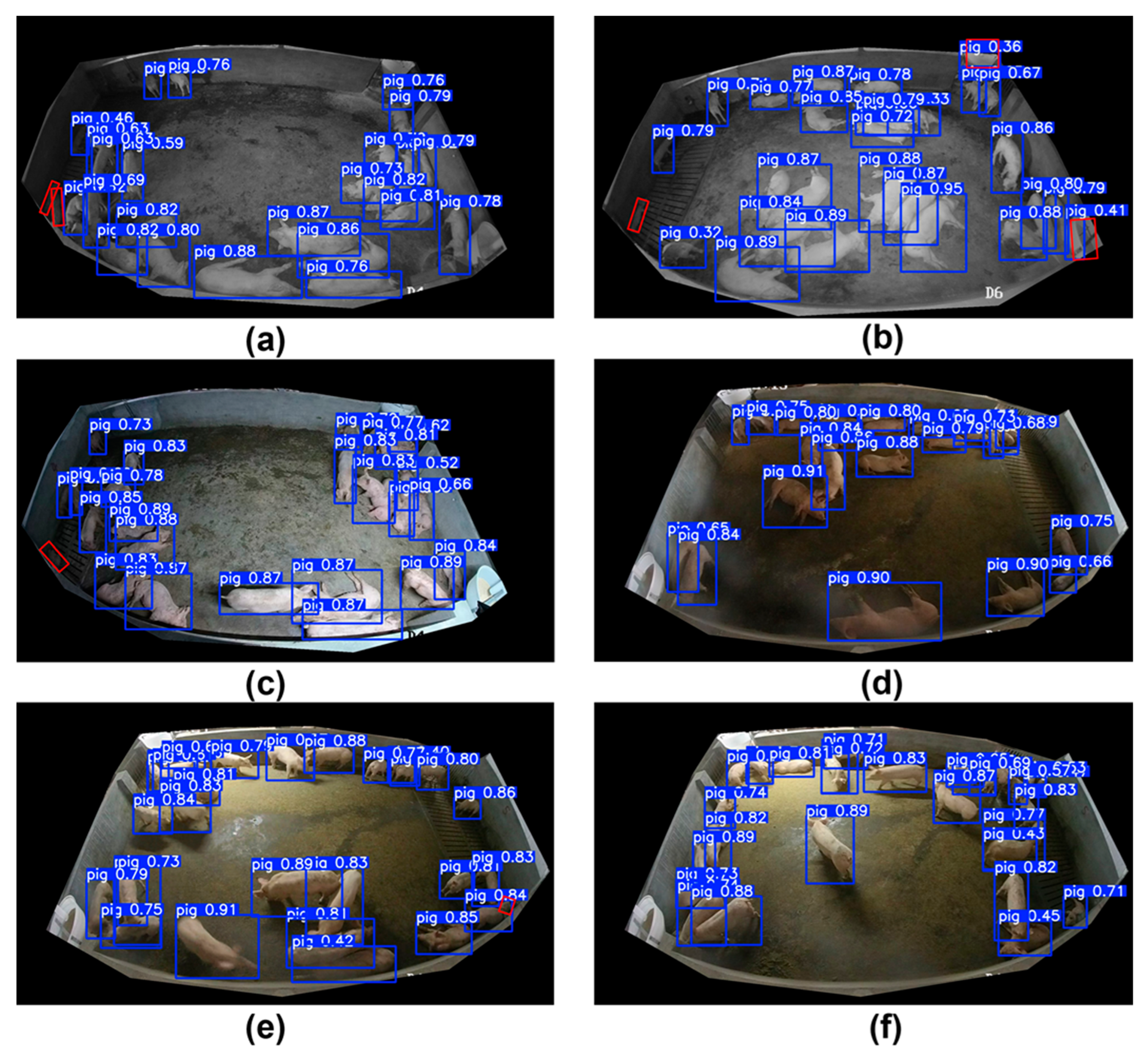 Animals 15 02149 g007
