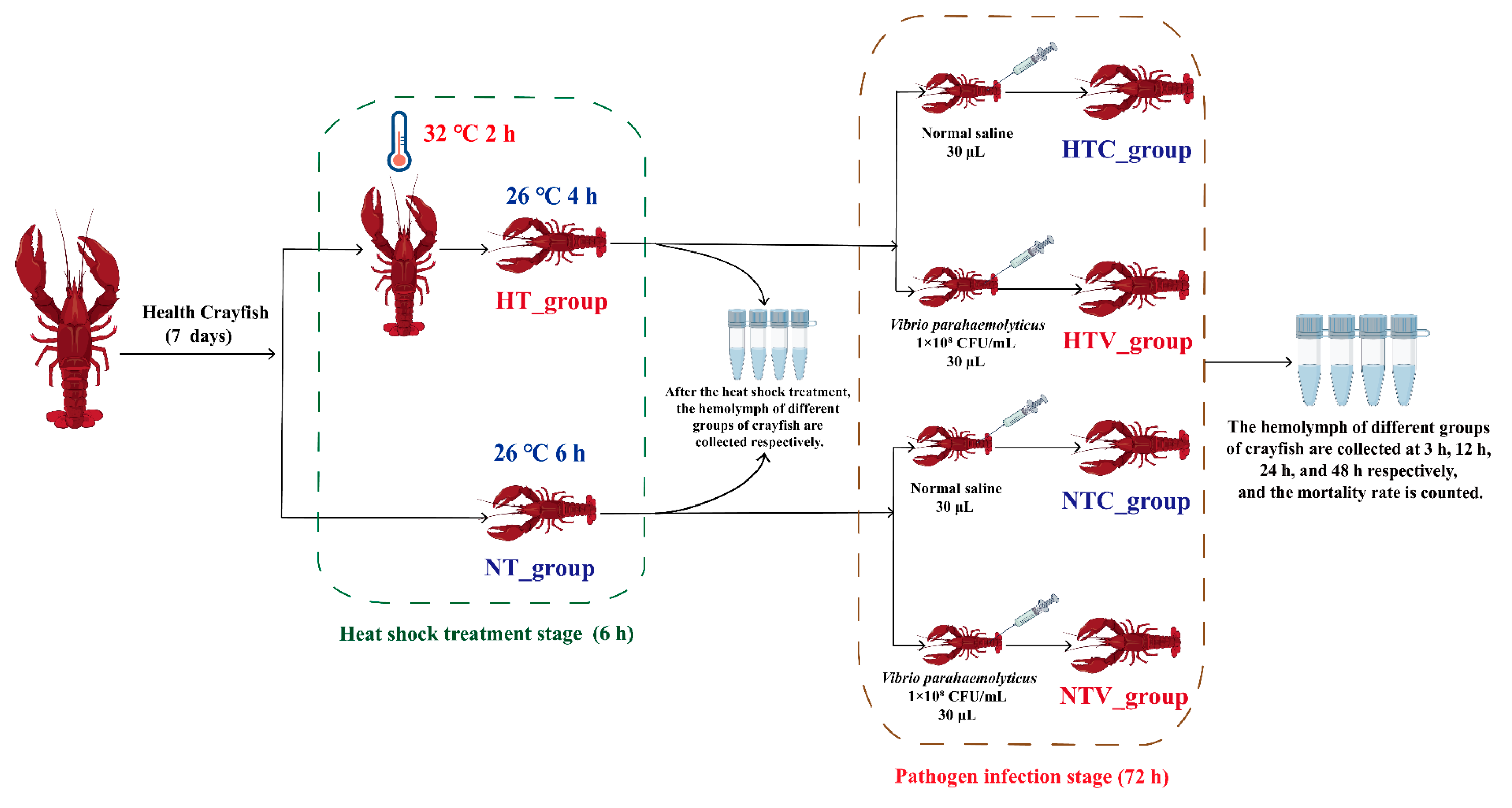 Animals 15 02150 g001