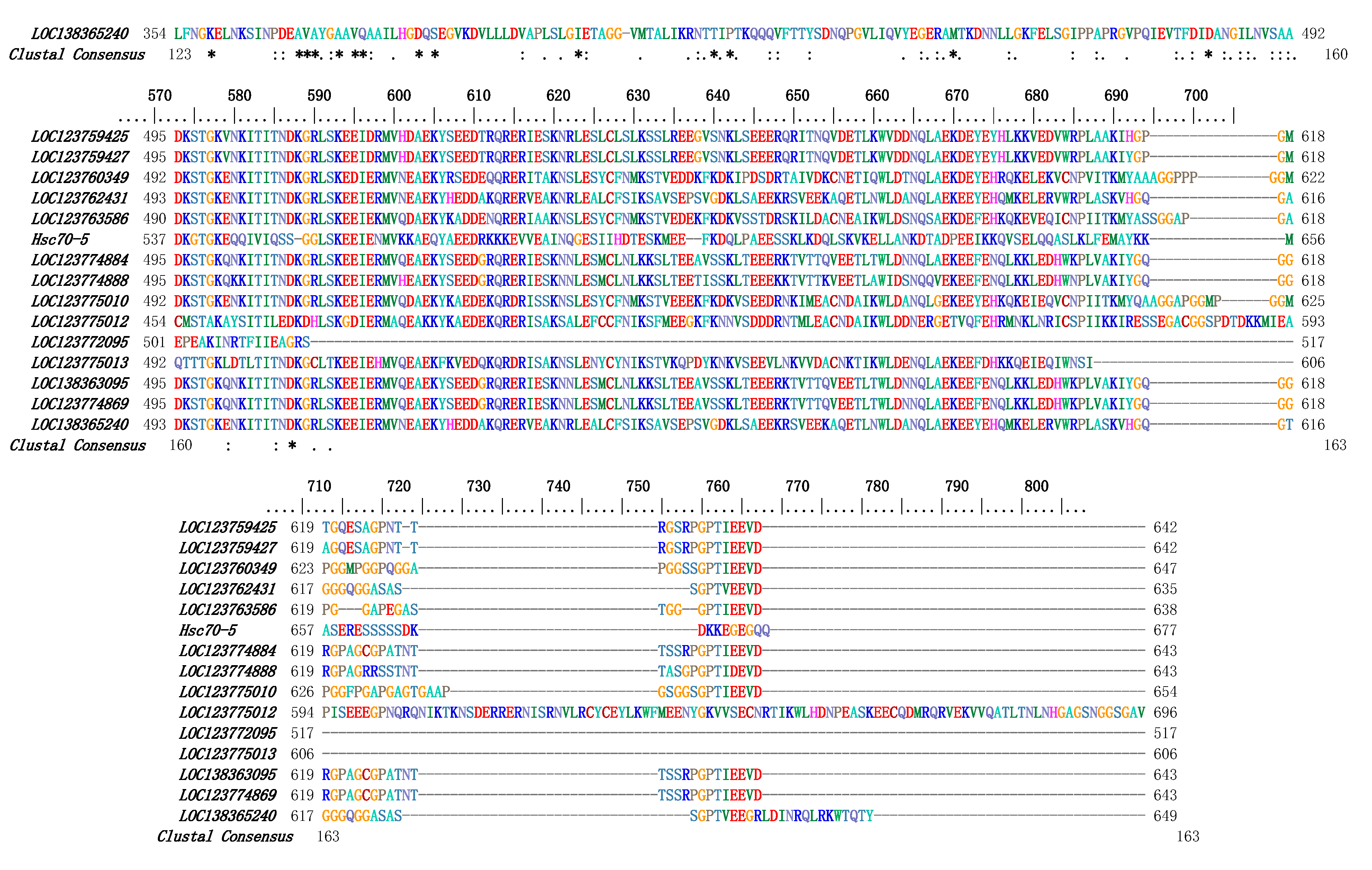 Animals 15 02150 g003b