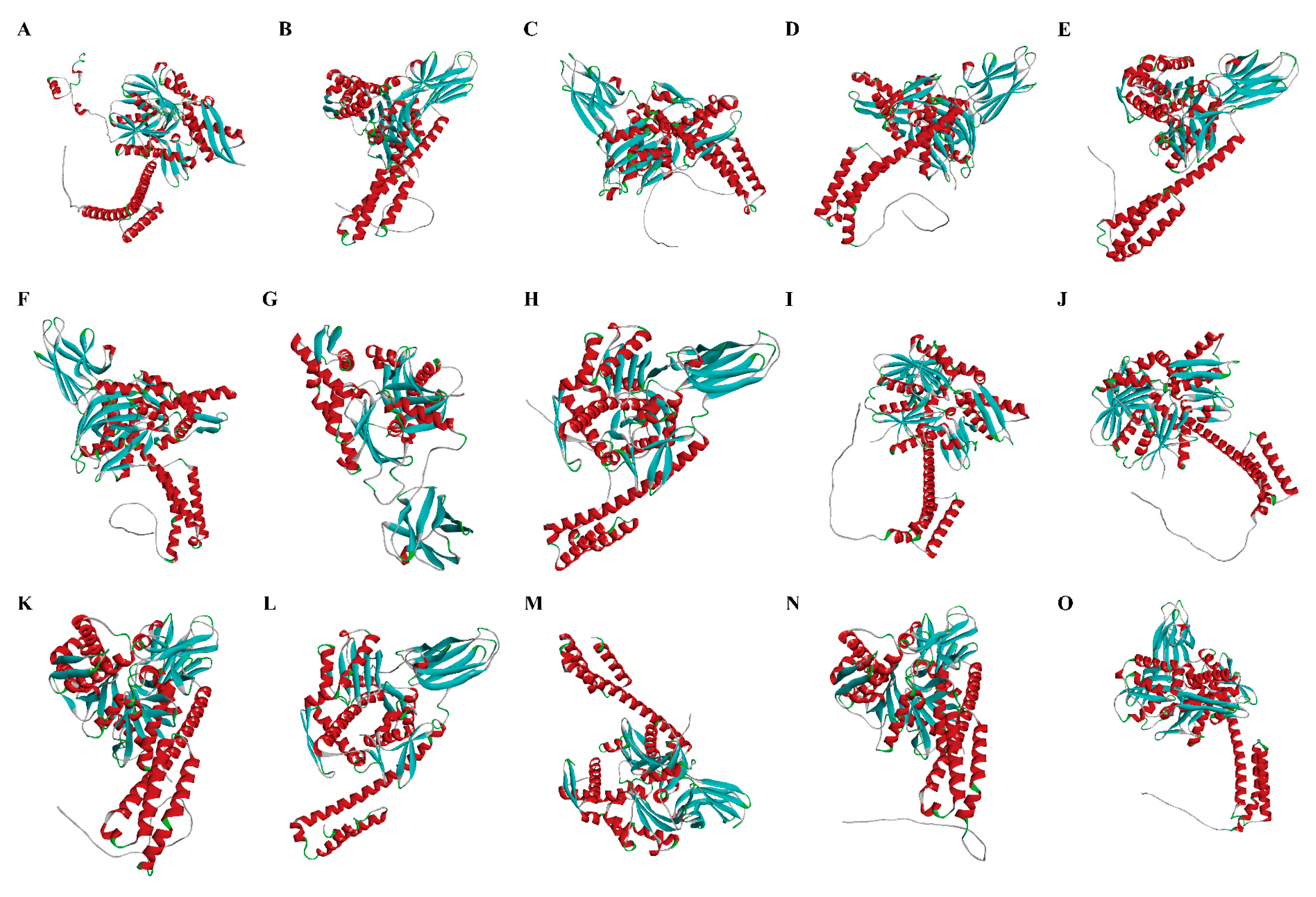 Animals 15 02150 g004