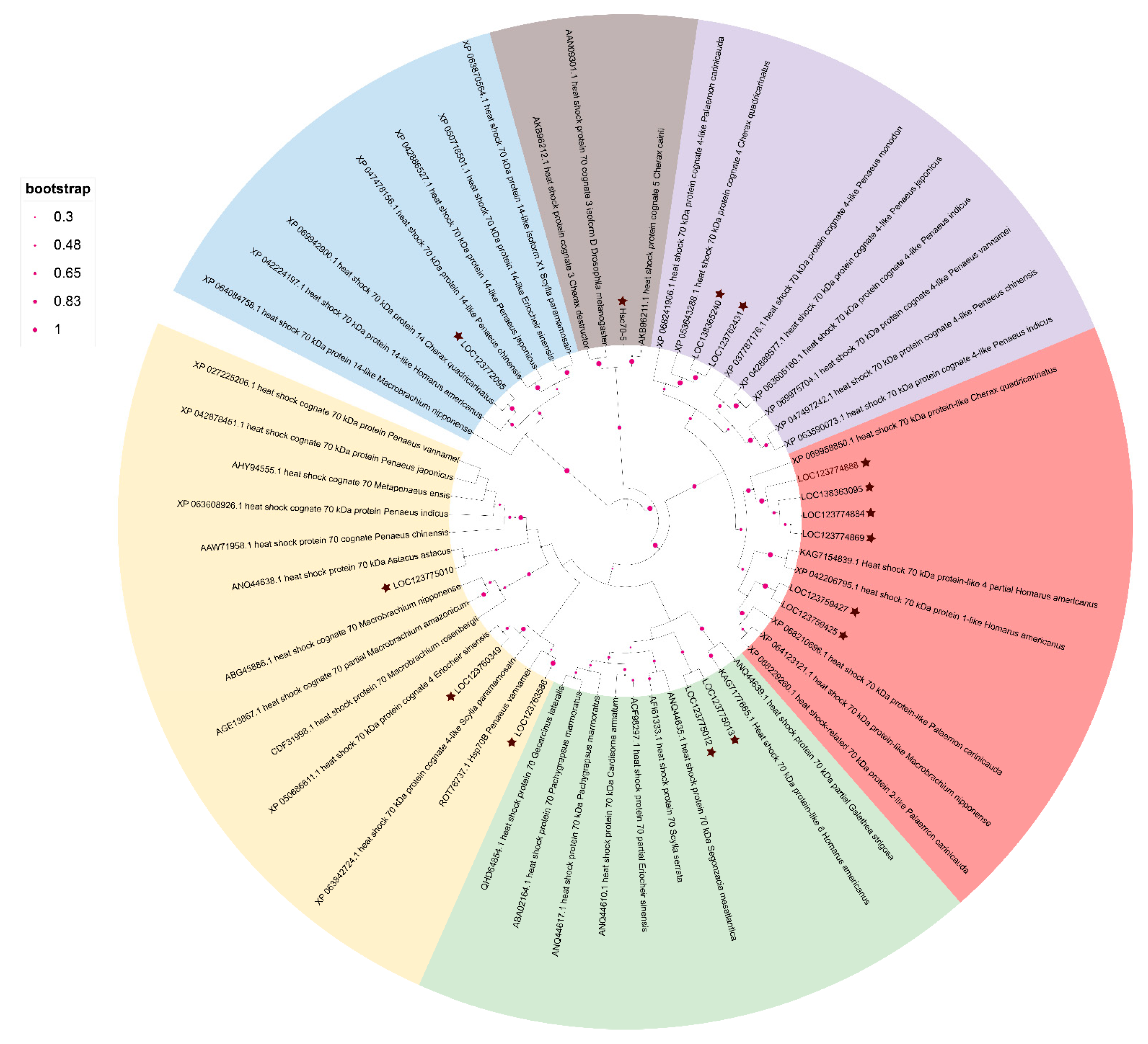 Animals 15 02150 g005