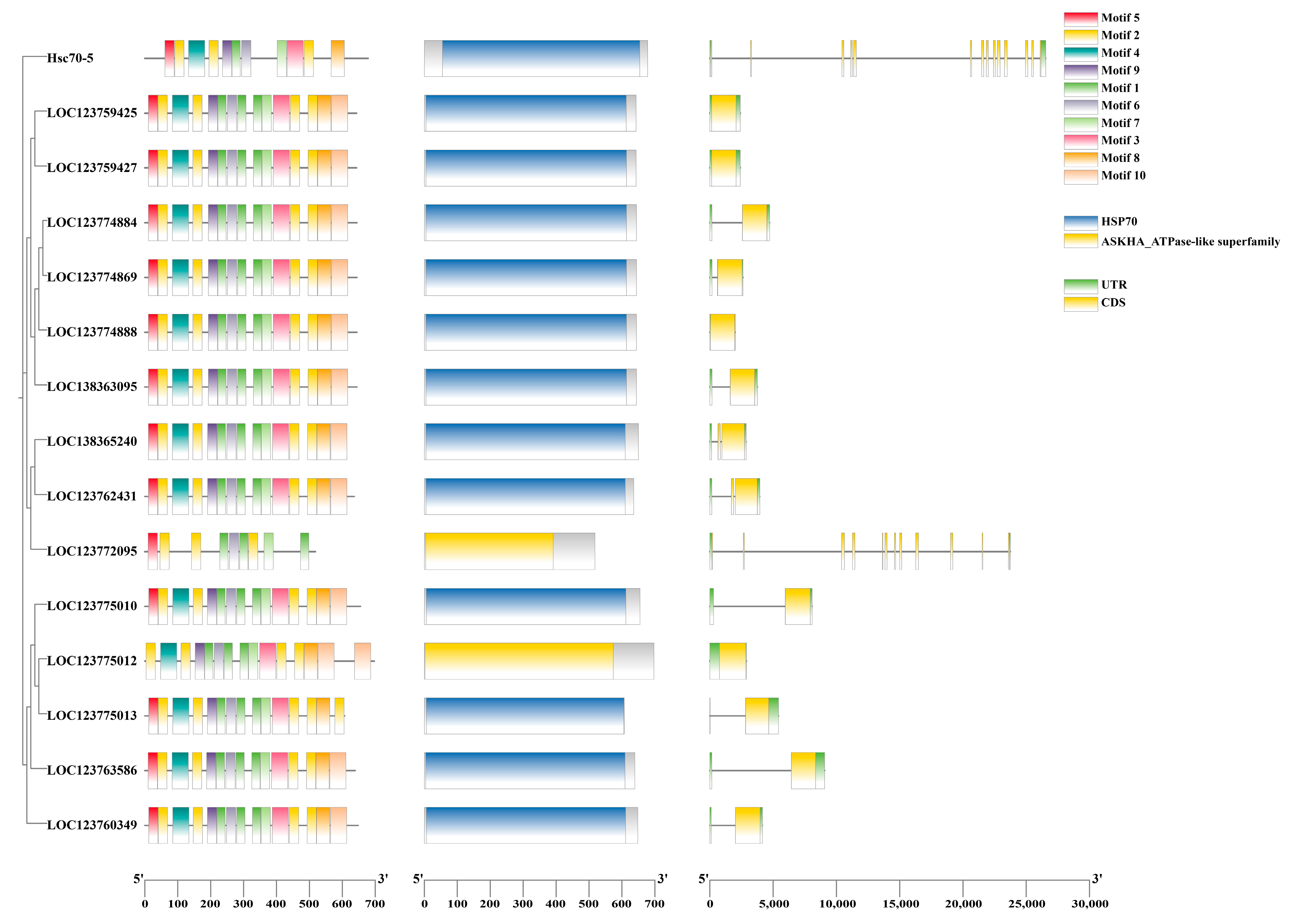 Animals 15 02150 g006