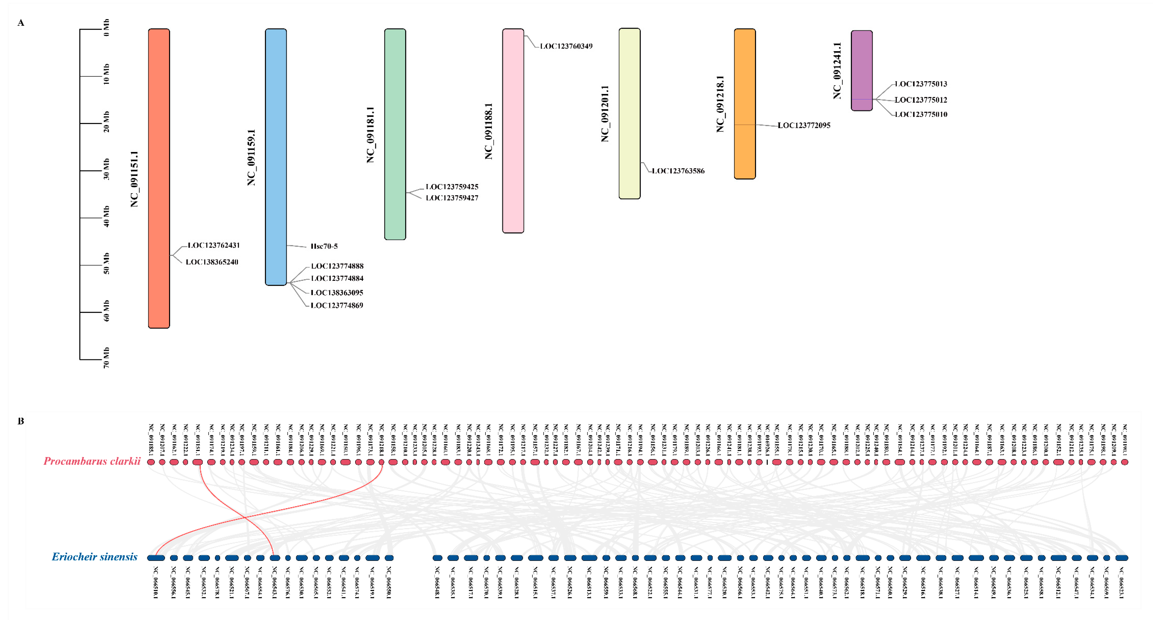 Animals 15 02150 g007