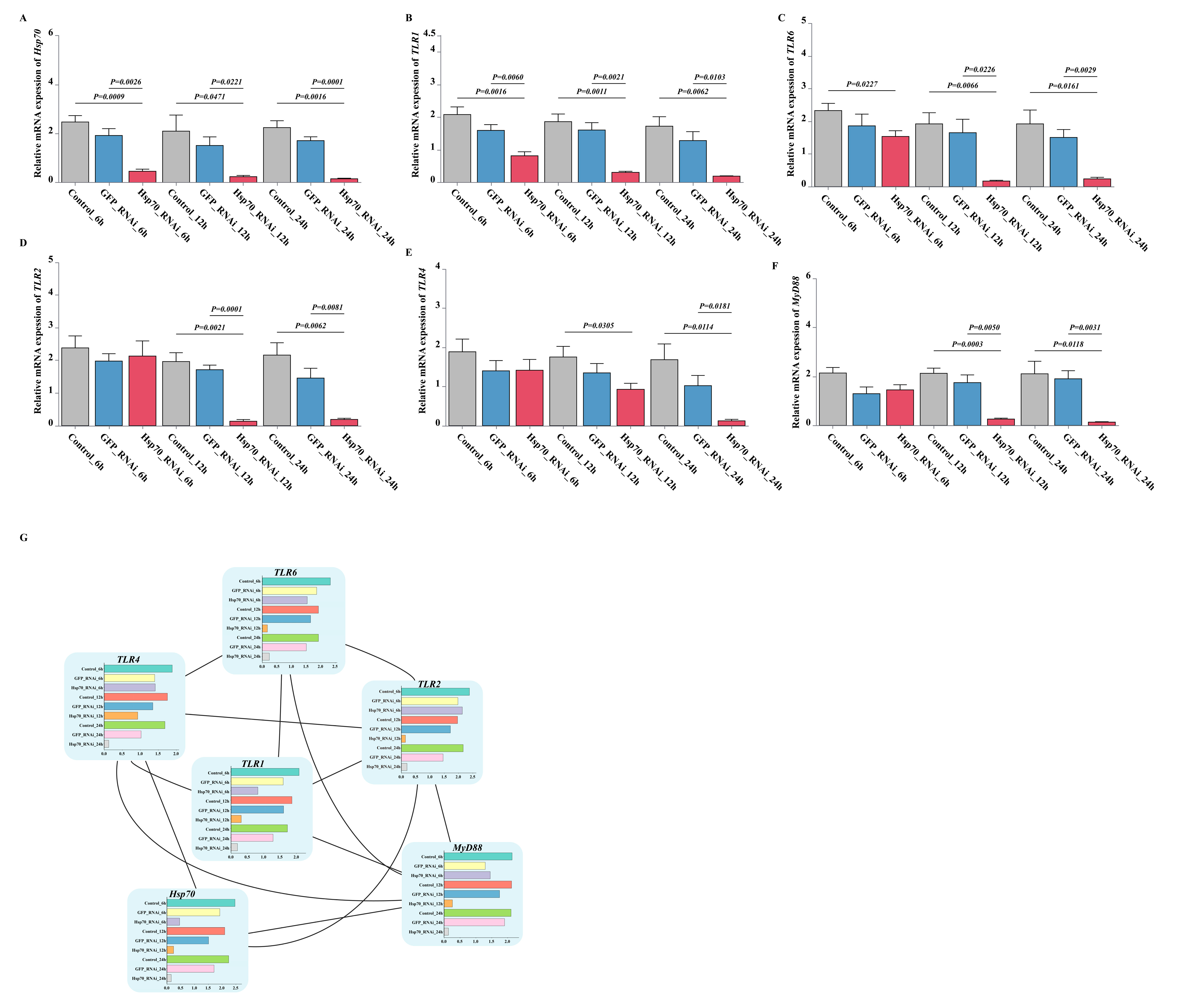 Animals 15 02150 g010
