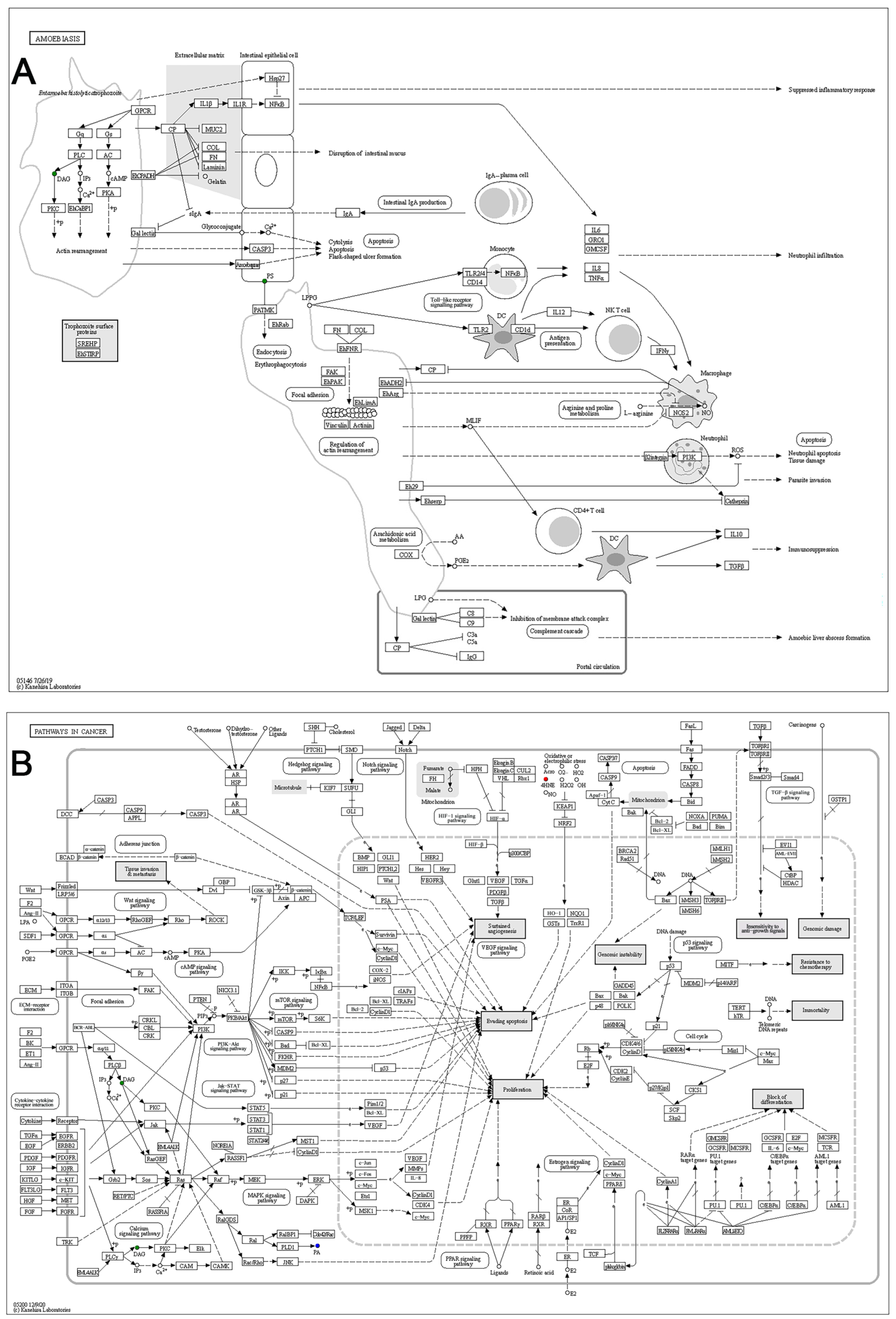 Animals 15 02155 g011a