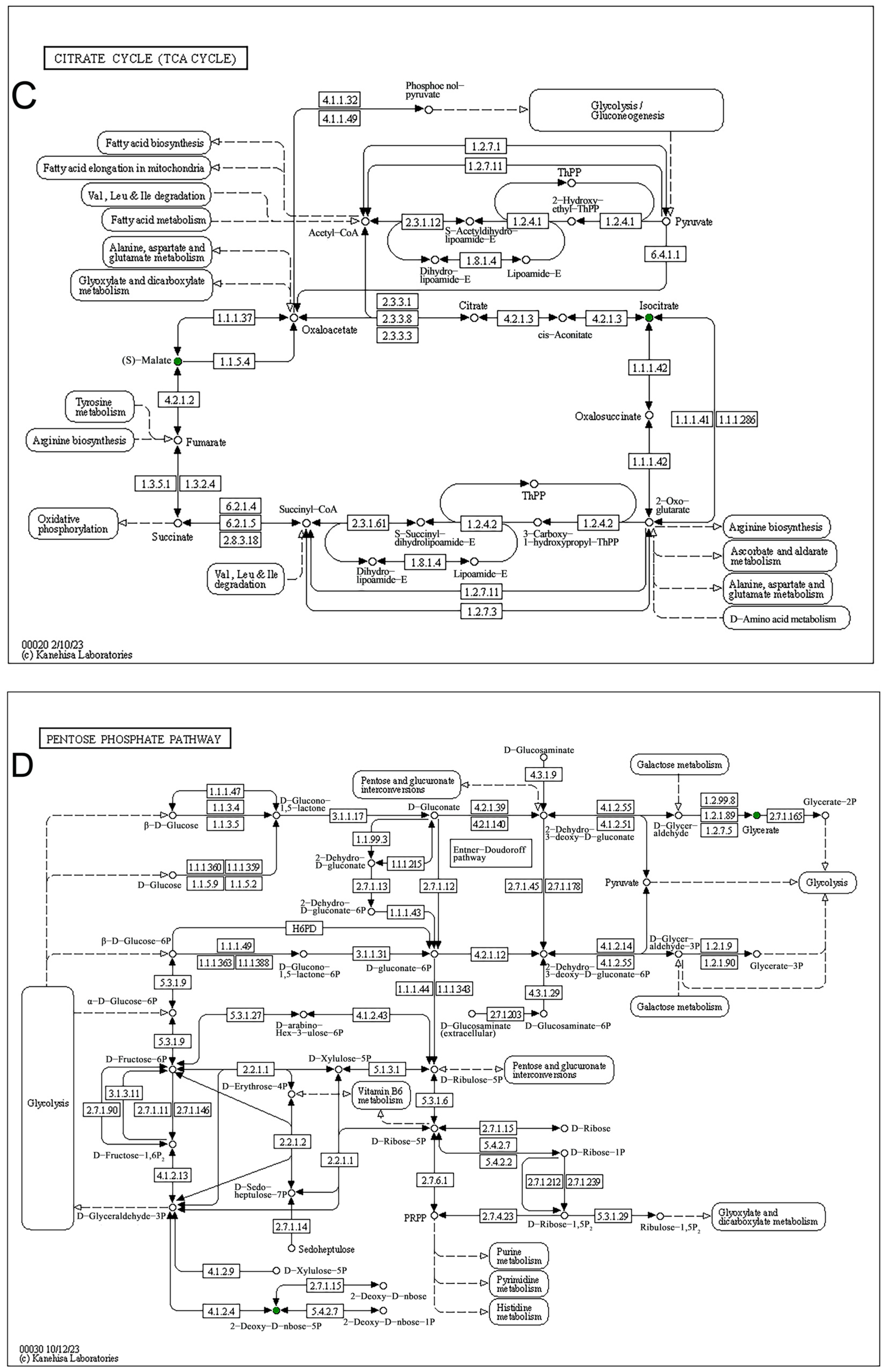 Animals 15 02155 g011b