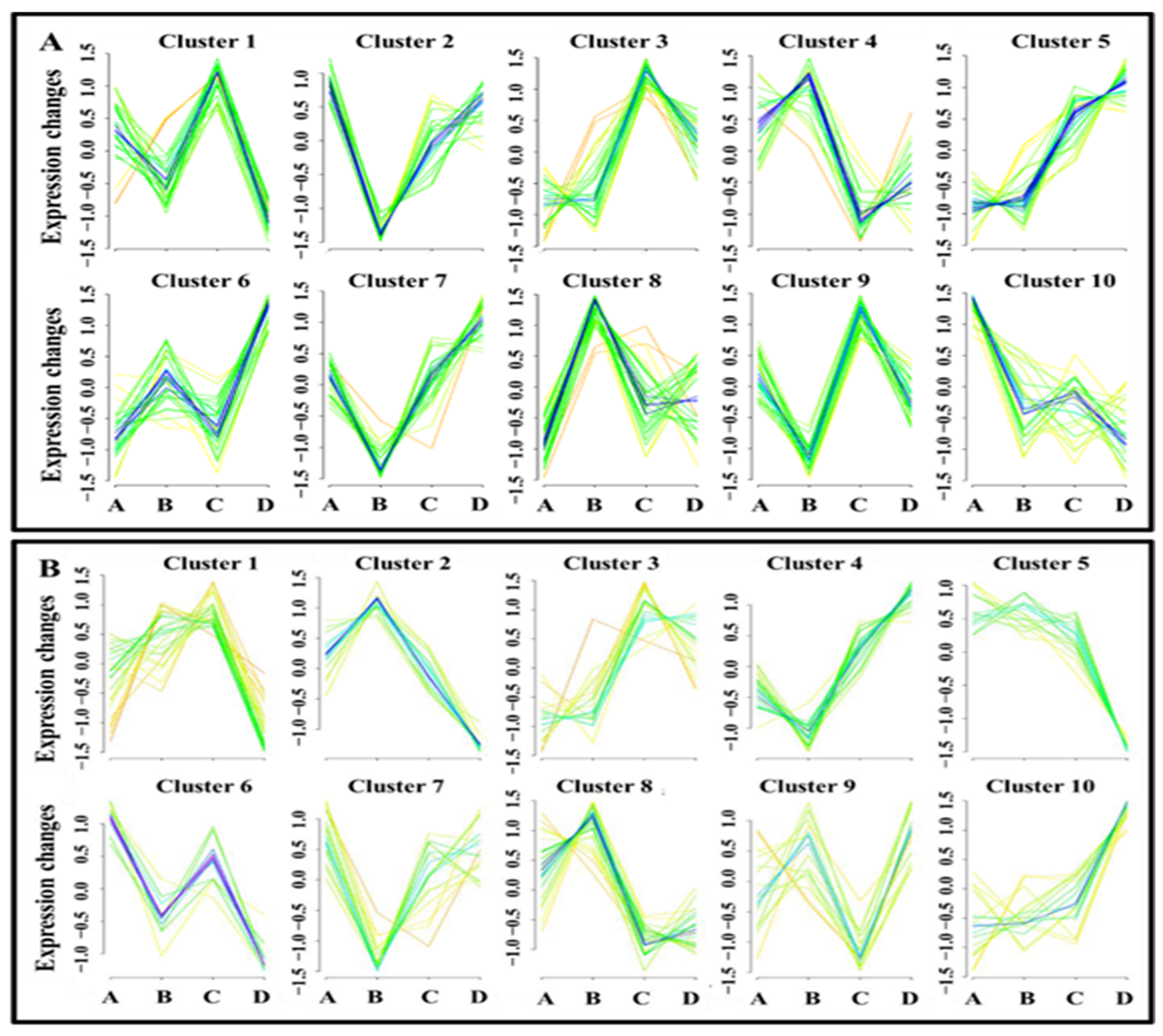 Animals 15 02163 g010 Animals 15 02163 g010