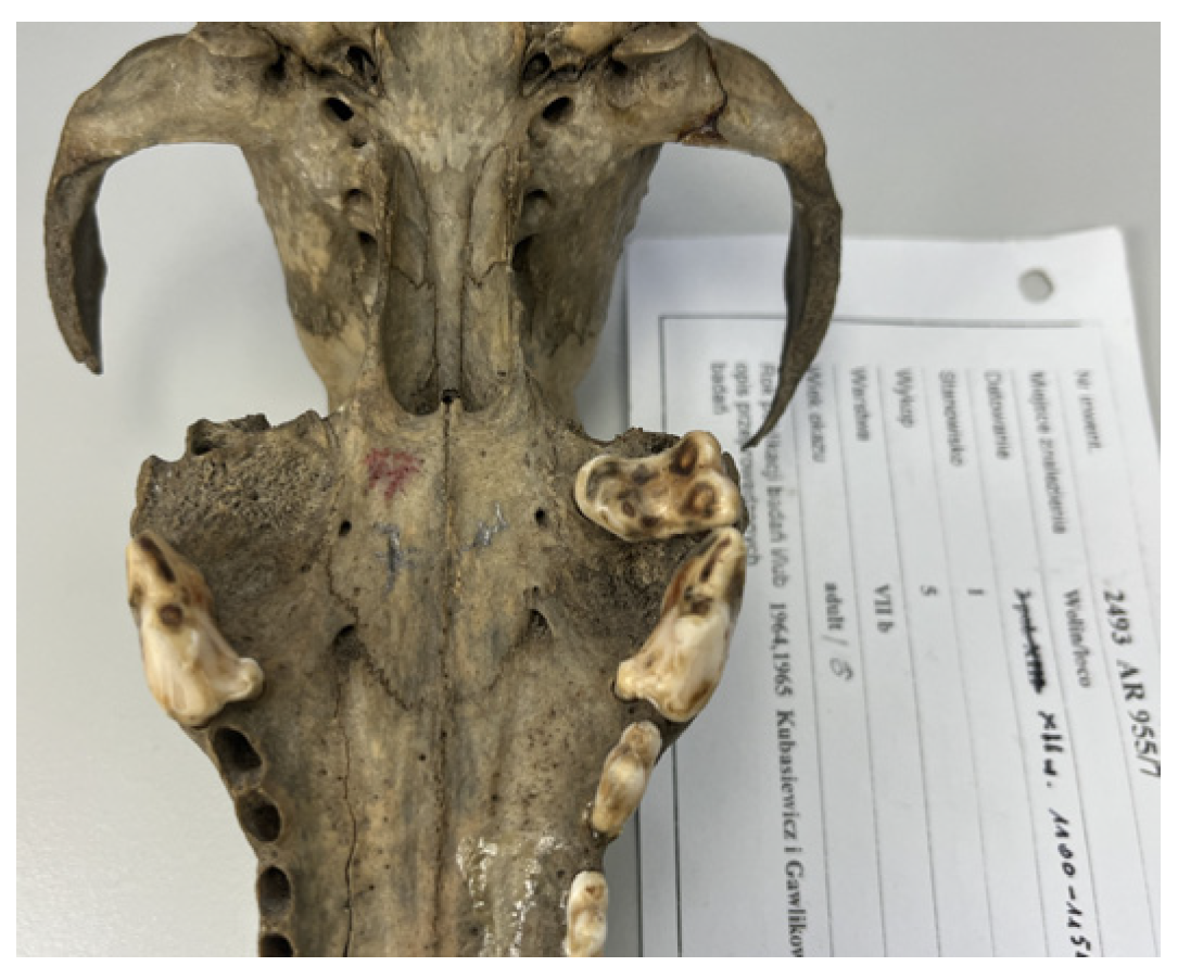 Animals 15 02171 g003 Animals 15 02171 g003