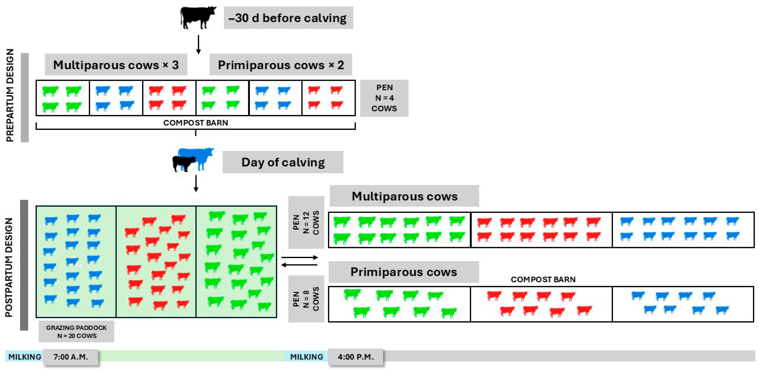 Animals 15 02172 g001