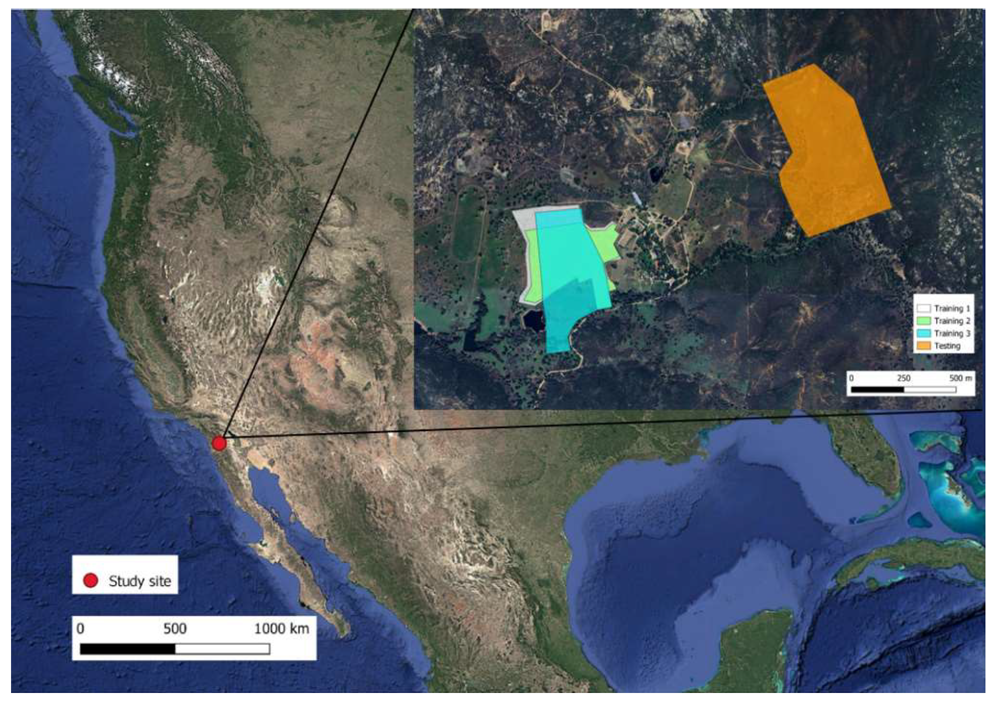 Animals 15 02178 g001