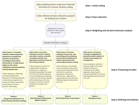 Horse Activity Participants’ Perceptions About Practices Undertaken at ...