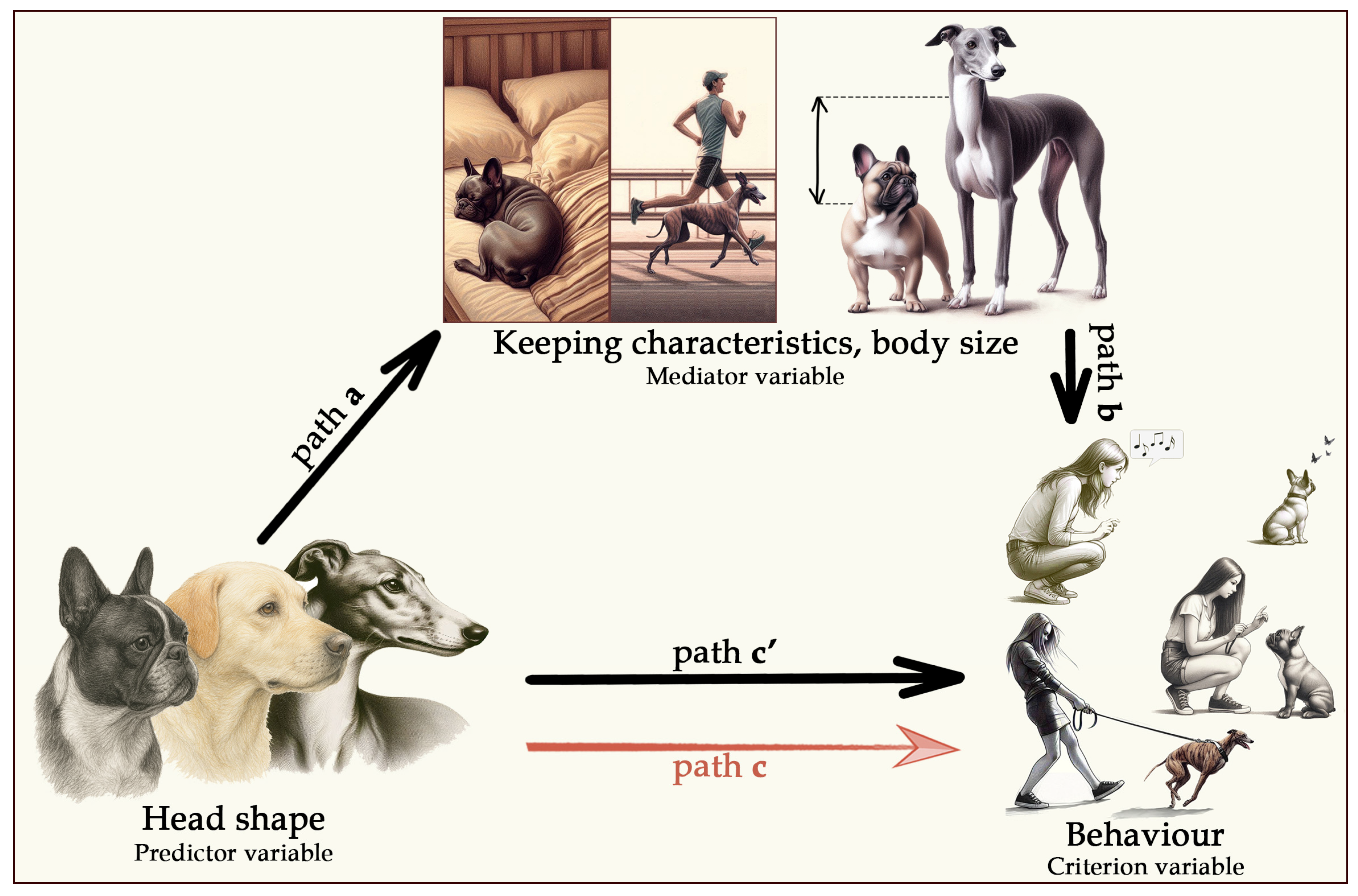 Animals 15 02221 g001