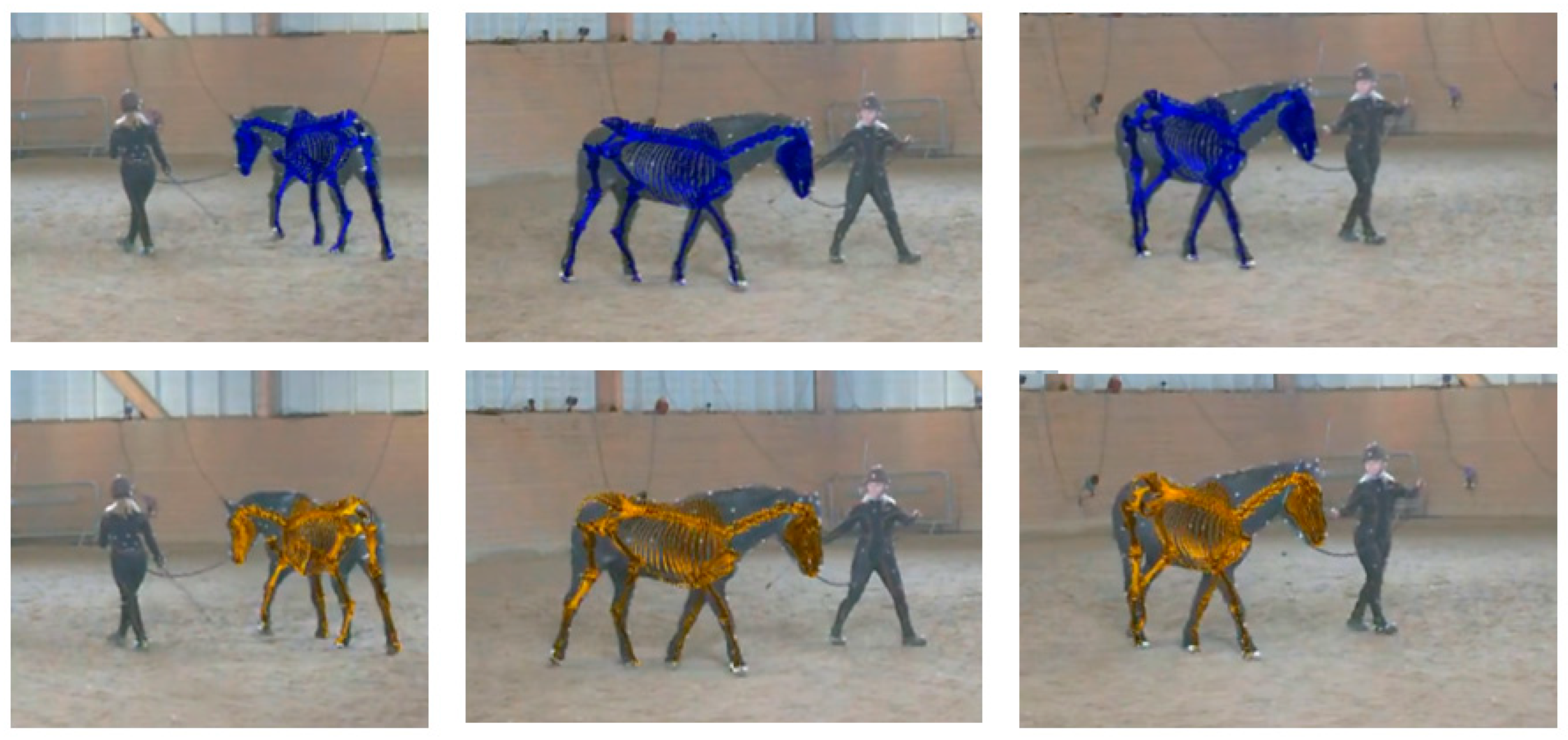 Animals 15 02281 g007 Animals 15 02281 g007