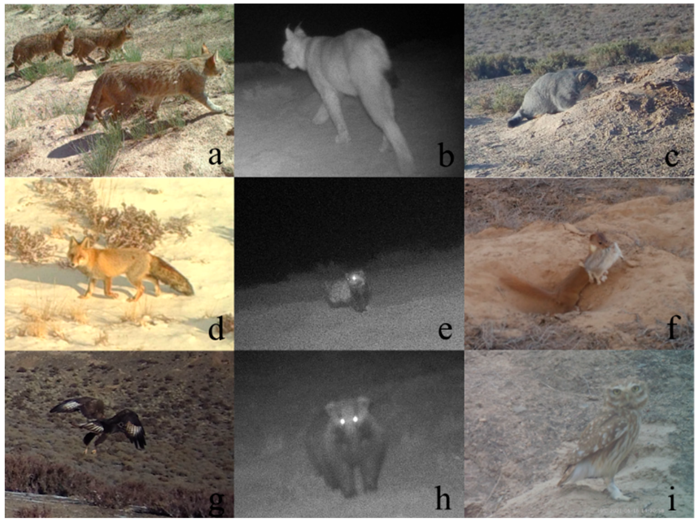 Animals 15 02290 g002