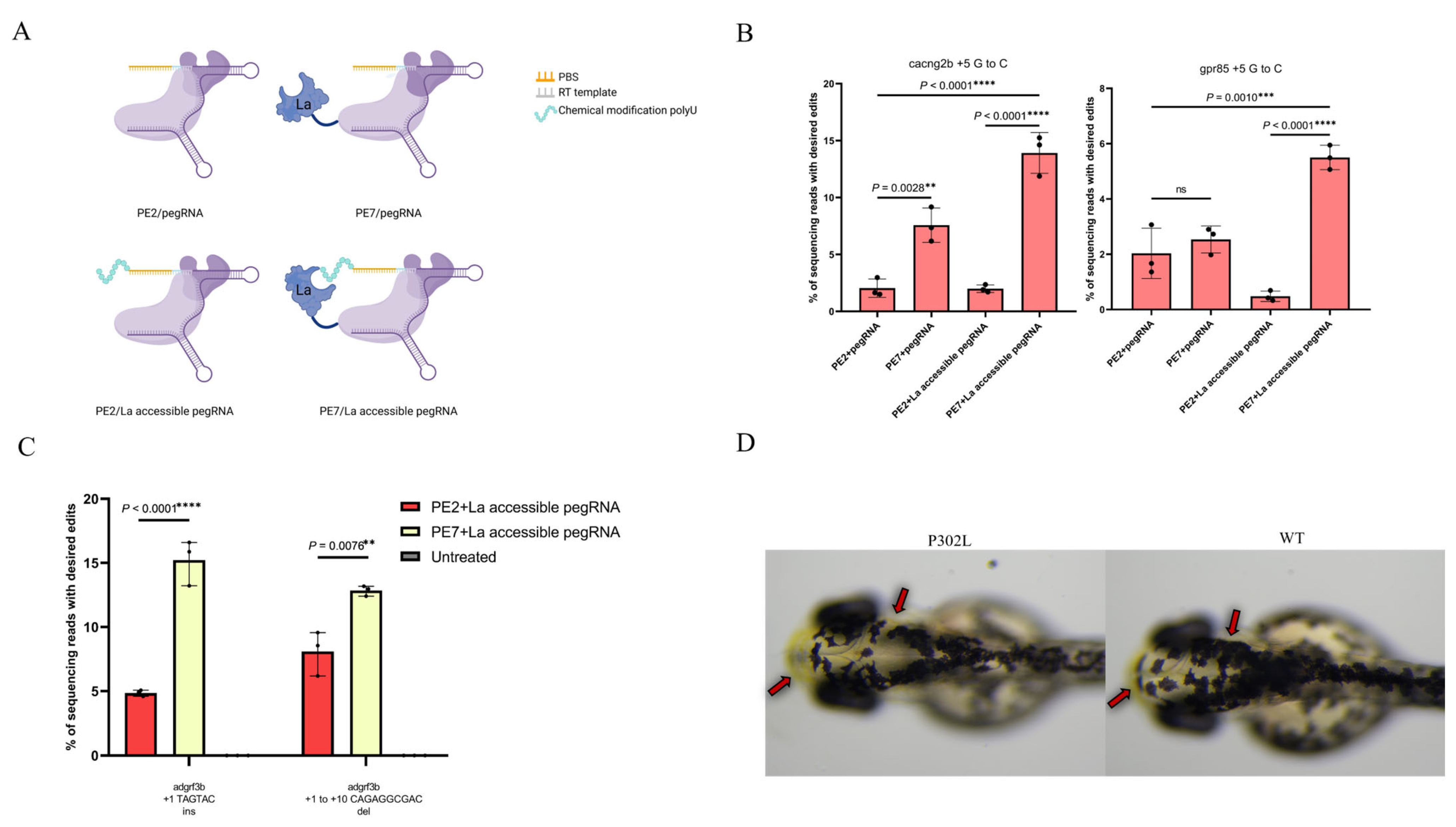 Animals 15 02295 g002