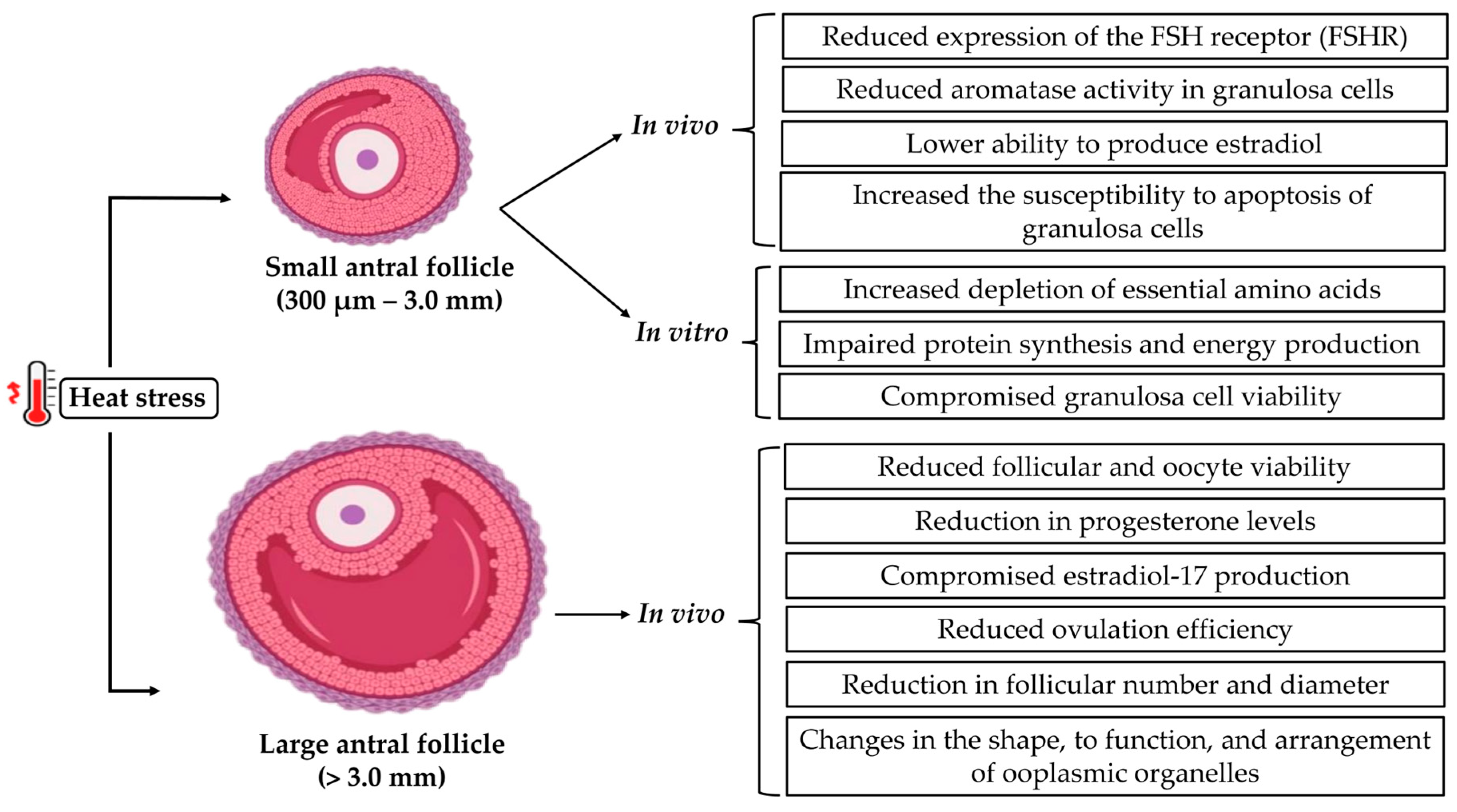 Animals 15 02296 g002